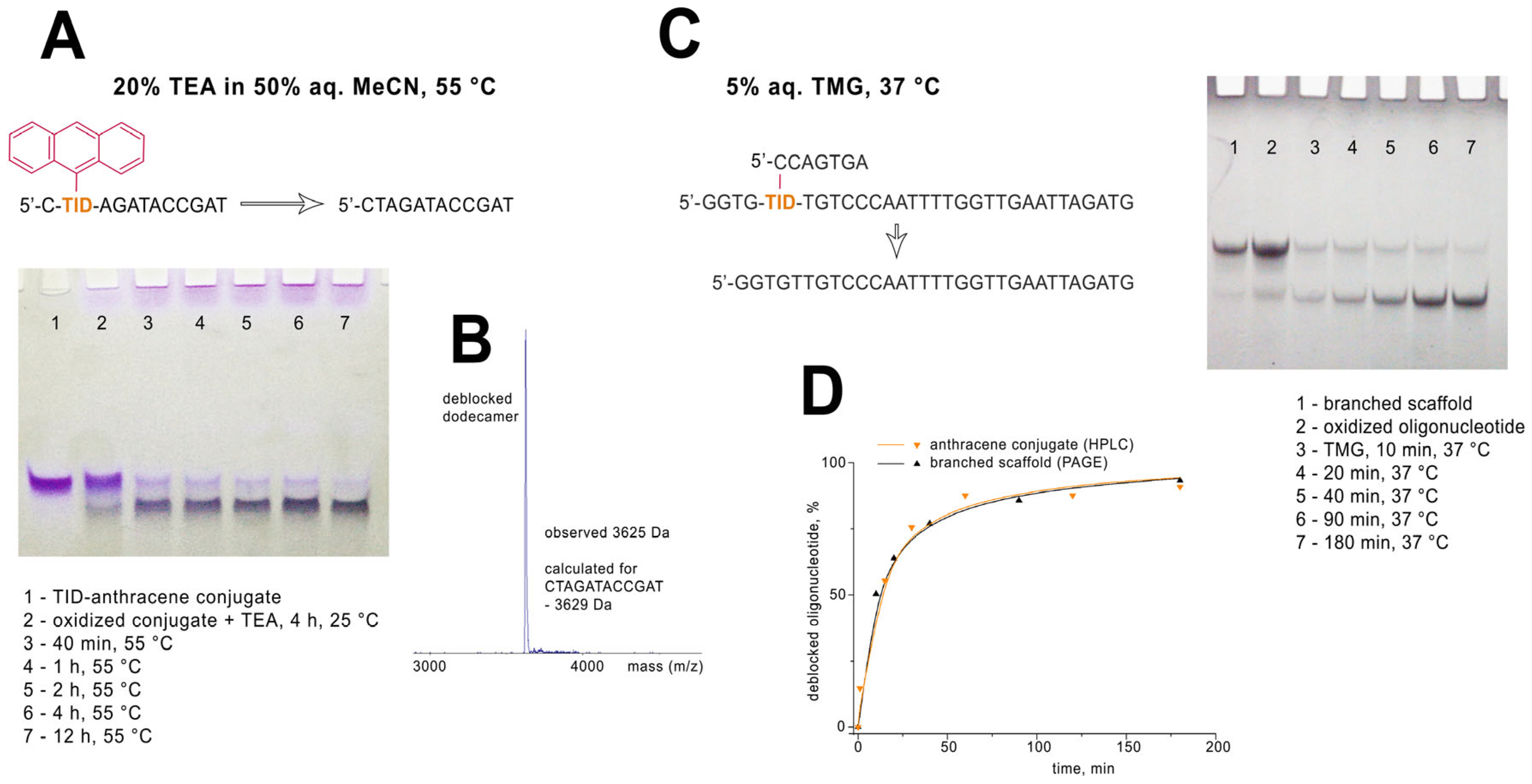 Molecules 30 03769 g005