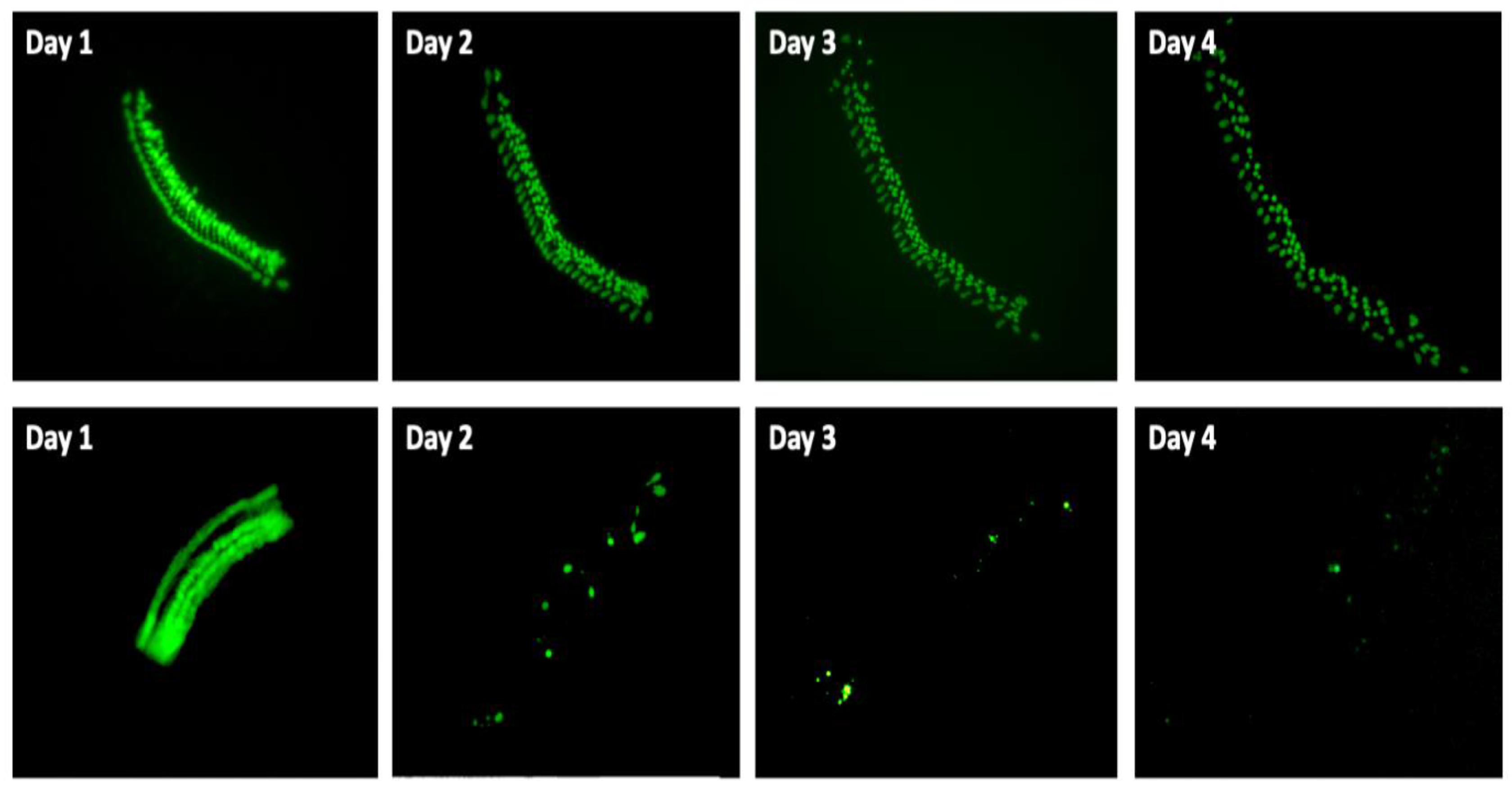 Molecules 30 03772 g002 Molecules 30 03772 g002
