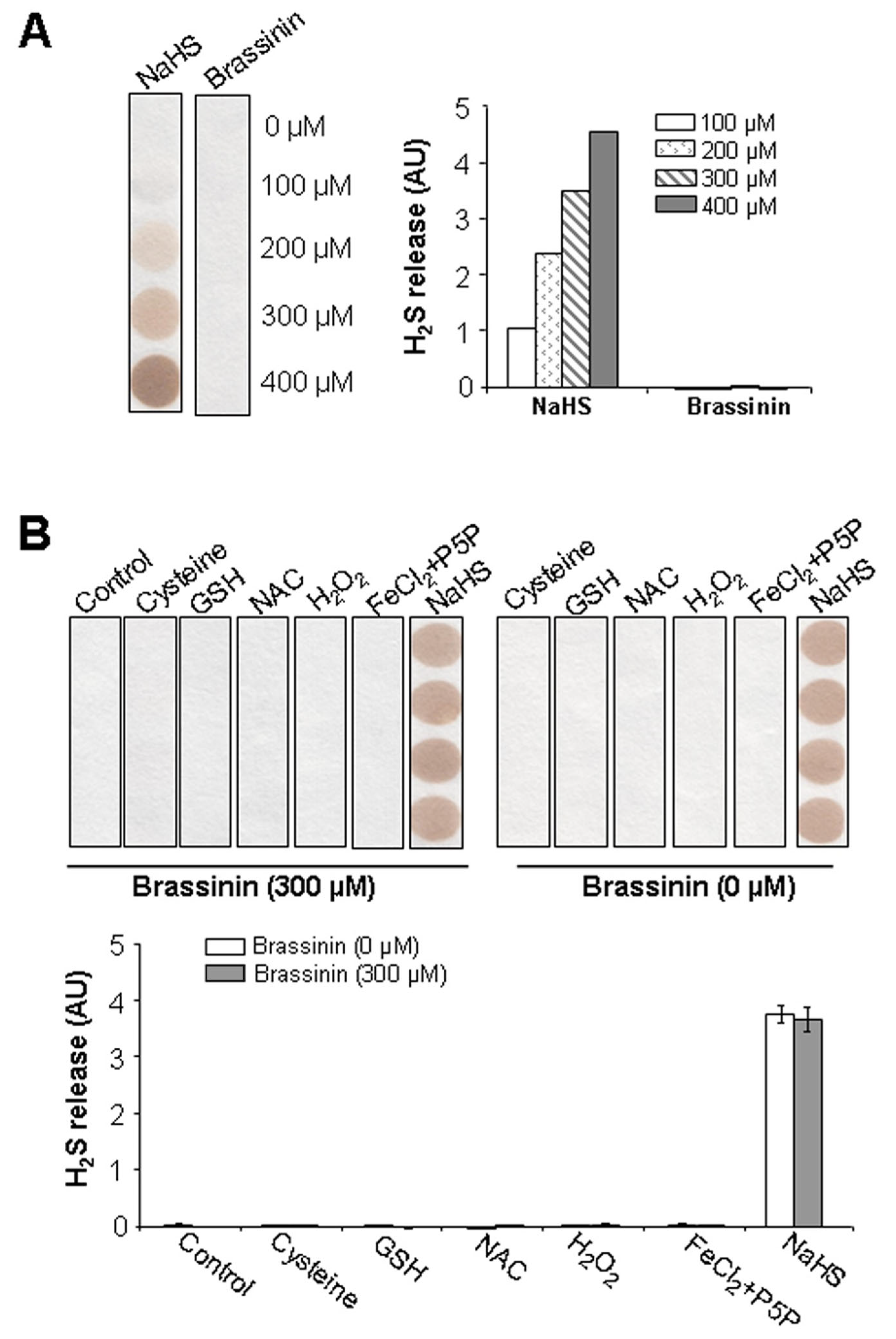 Molecules 30 03775 g004 Molecules 30 03775 g004