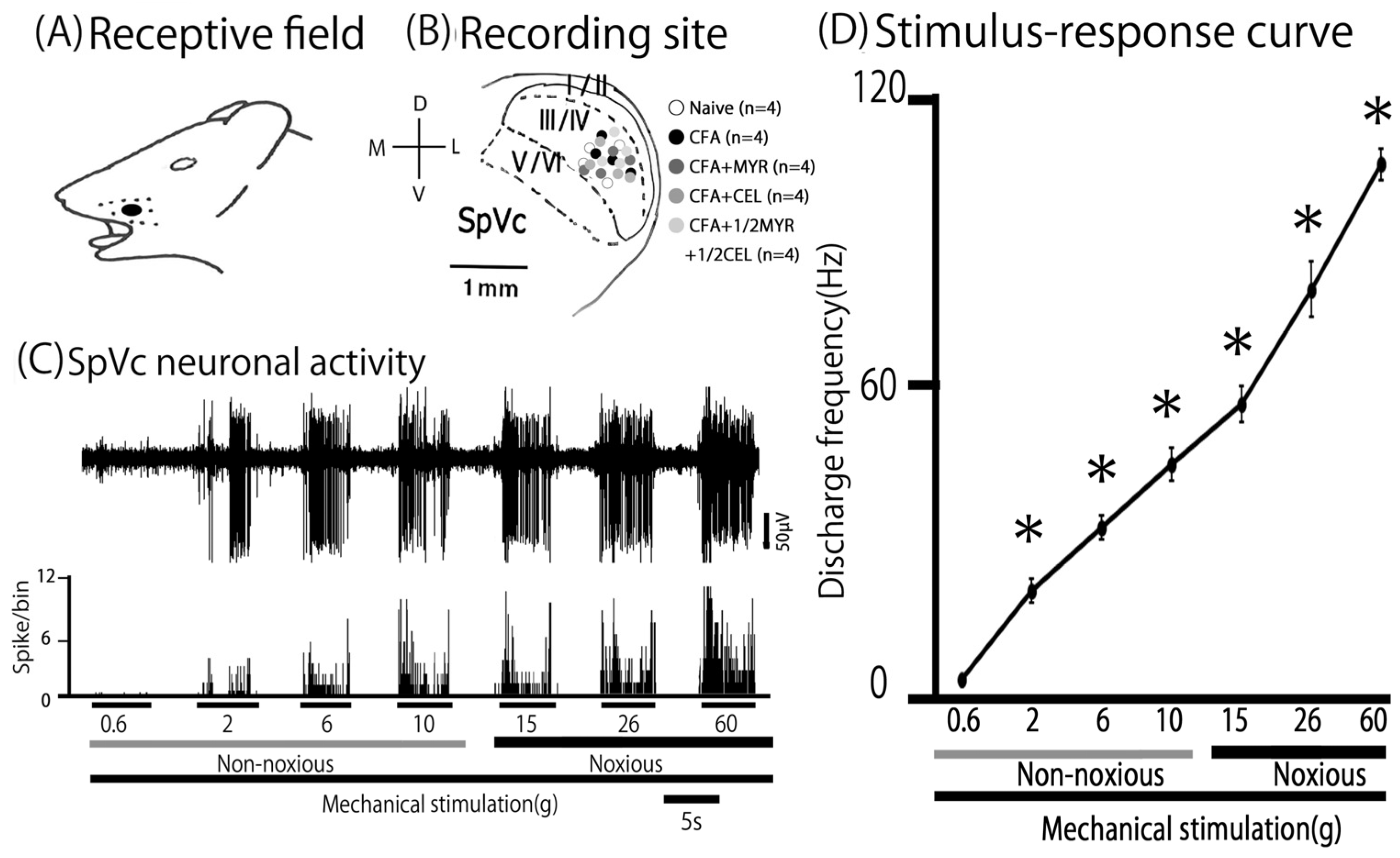 Molecules 30 03789 g003 Molecules 30 03789 g003