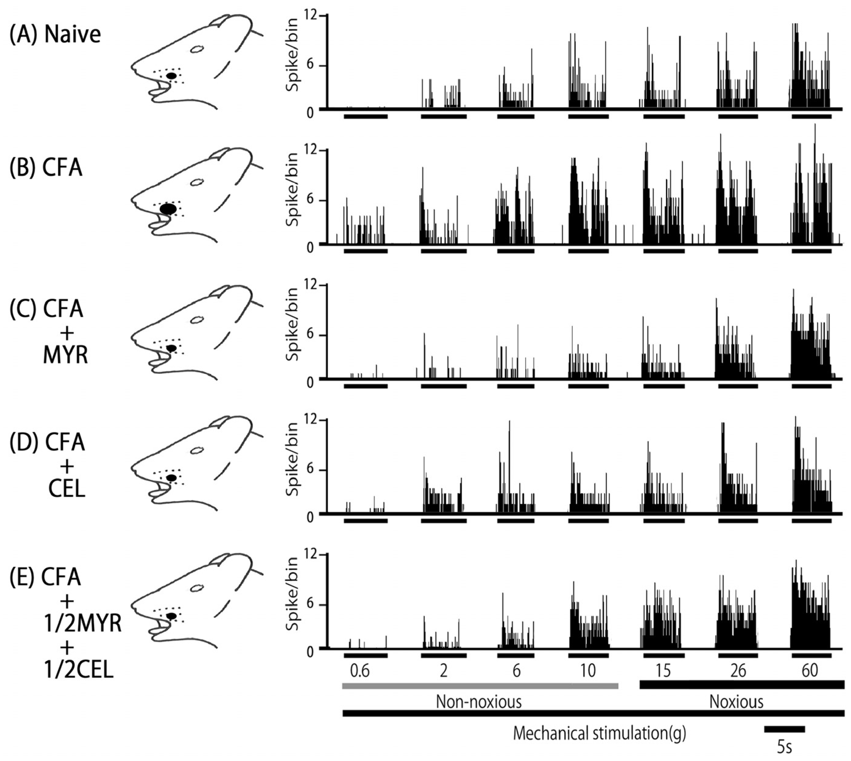 Molecules 30 03789 g004 Molecules 30 03789 g004