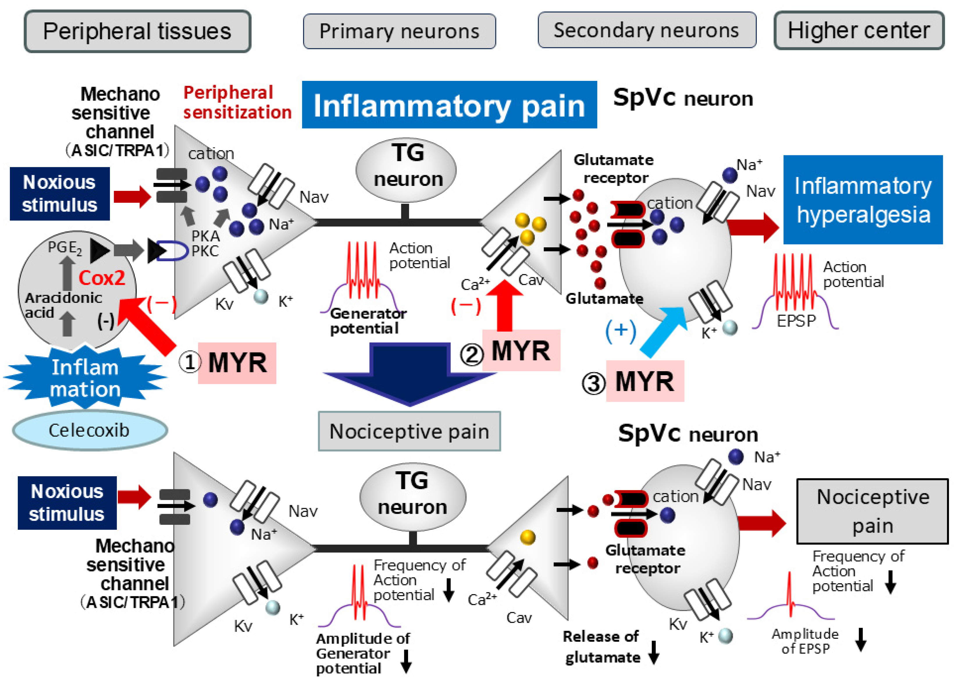 Molecules 30 03789 g006 Molecules 30 03789 g006
