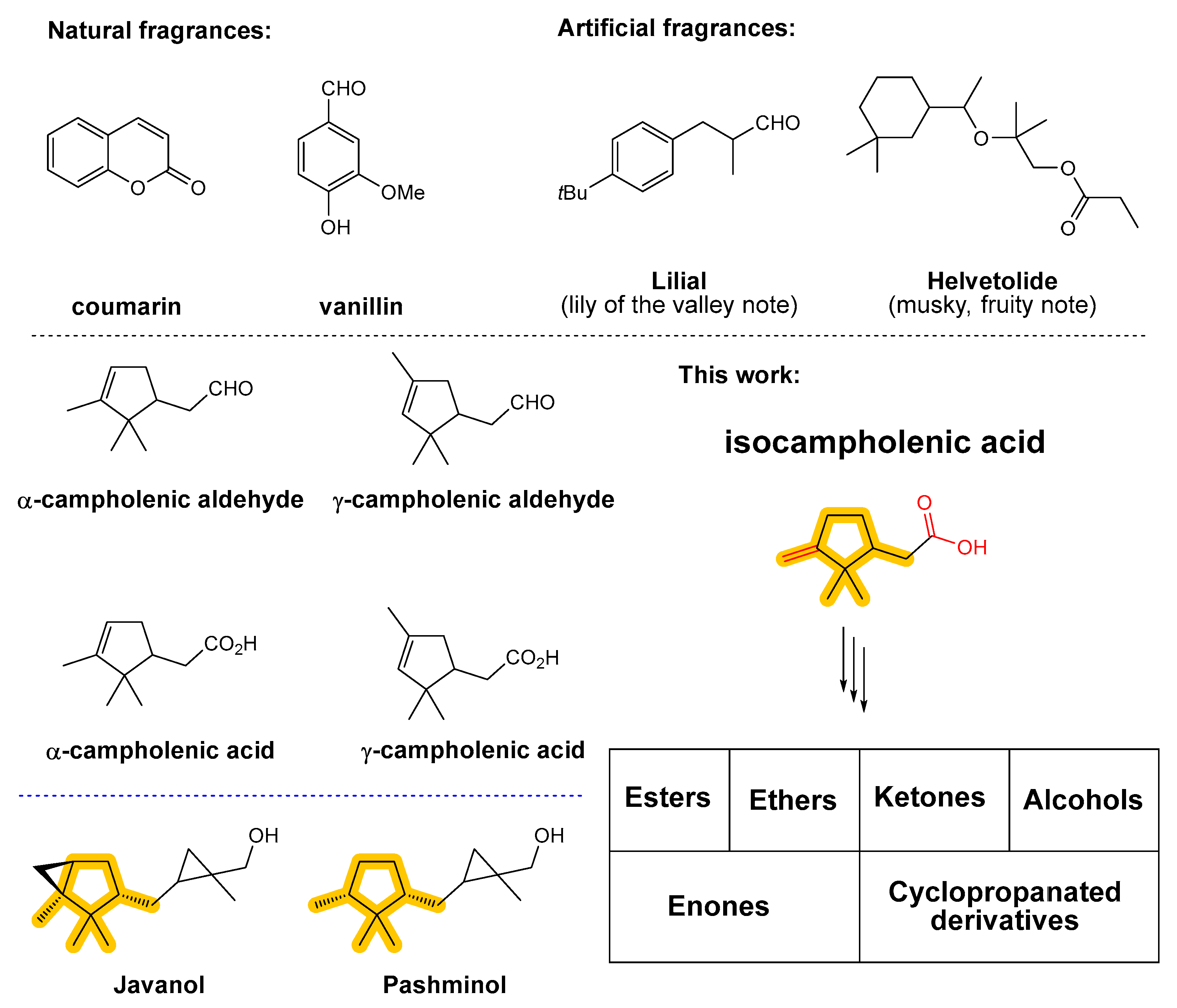 Molecules 30 03794 g001
