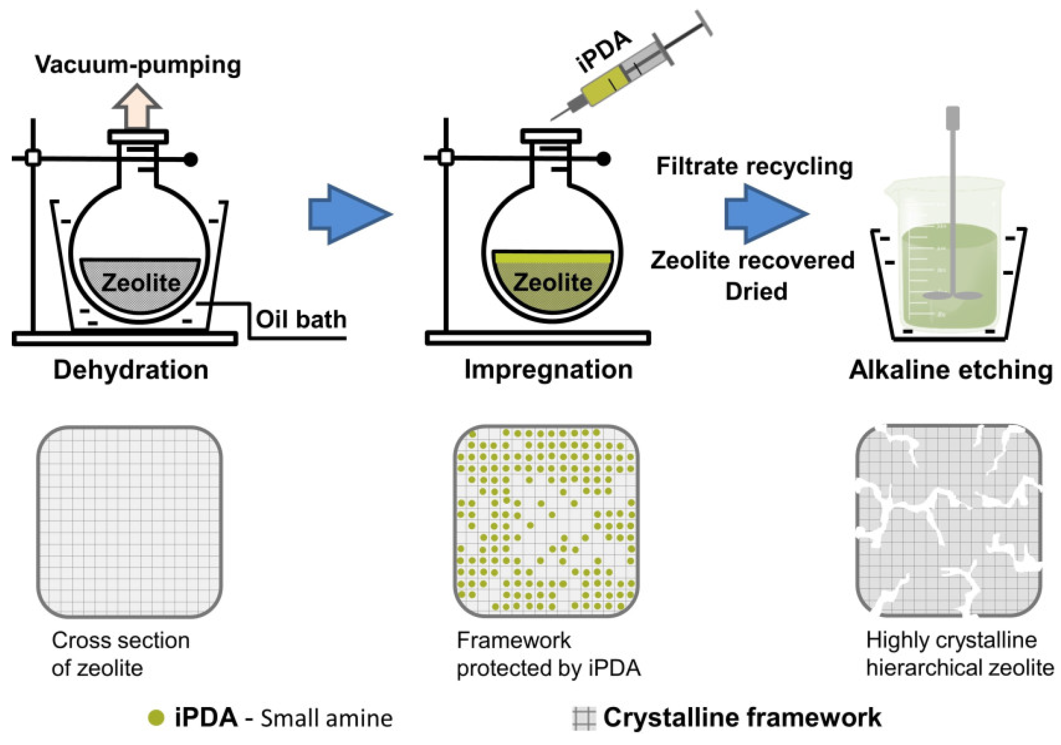 Molecules 30 03798 g004
