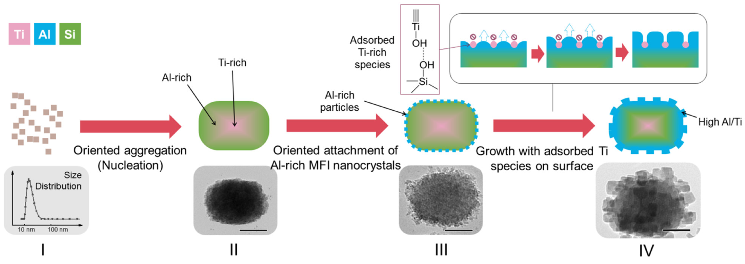 Molecules 30 03798 g007