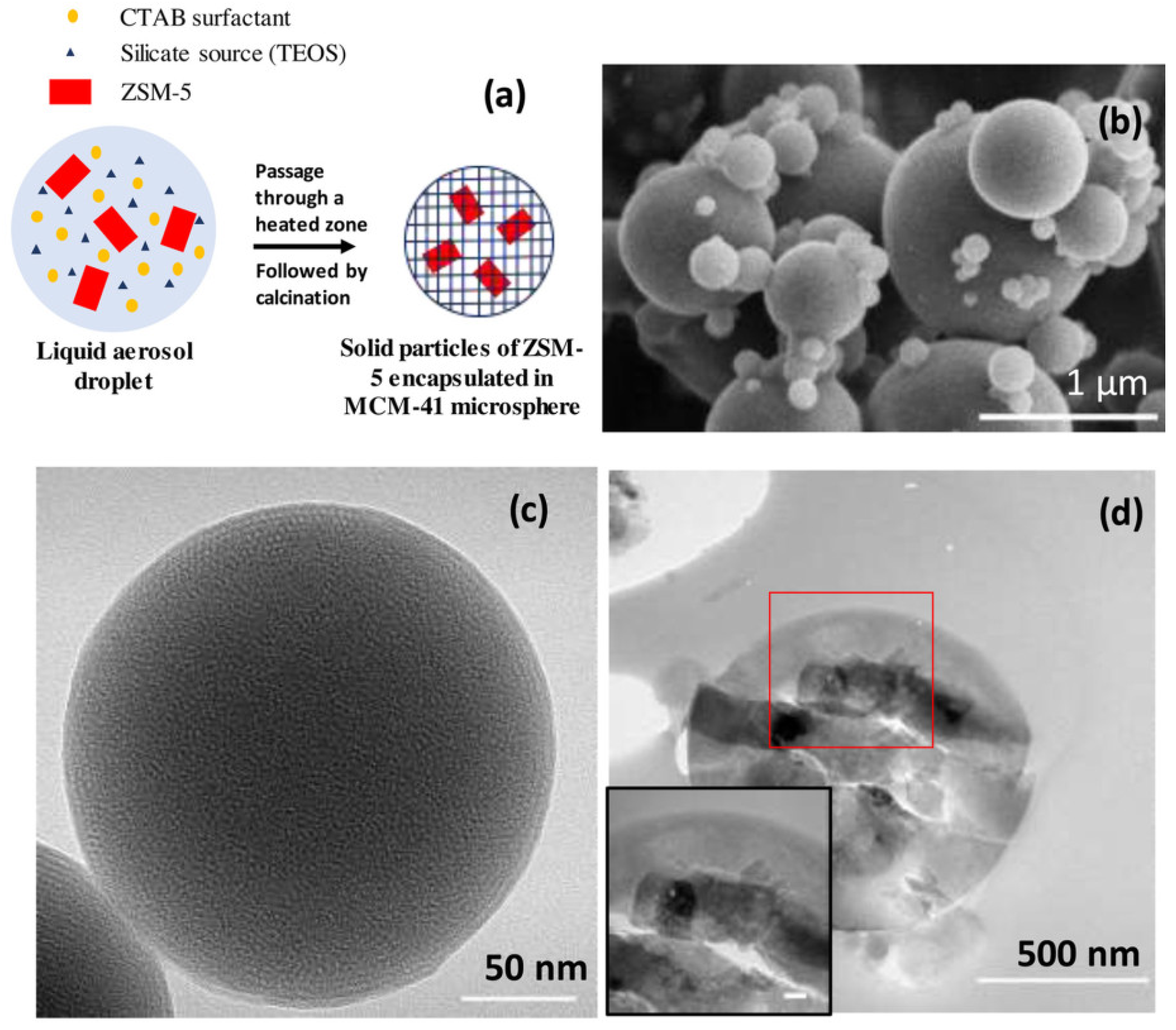 Molecules 30 03798 g014