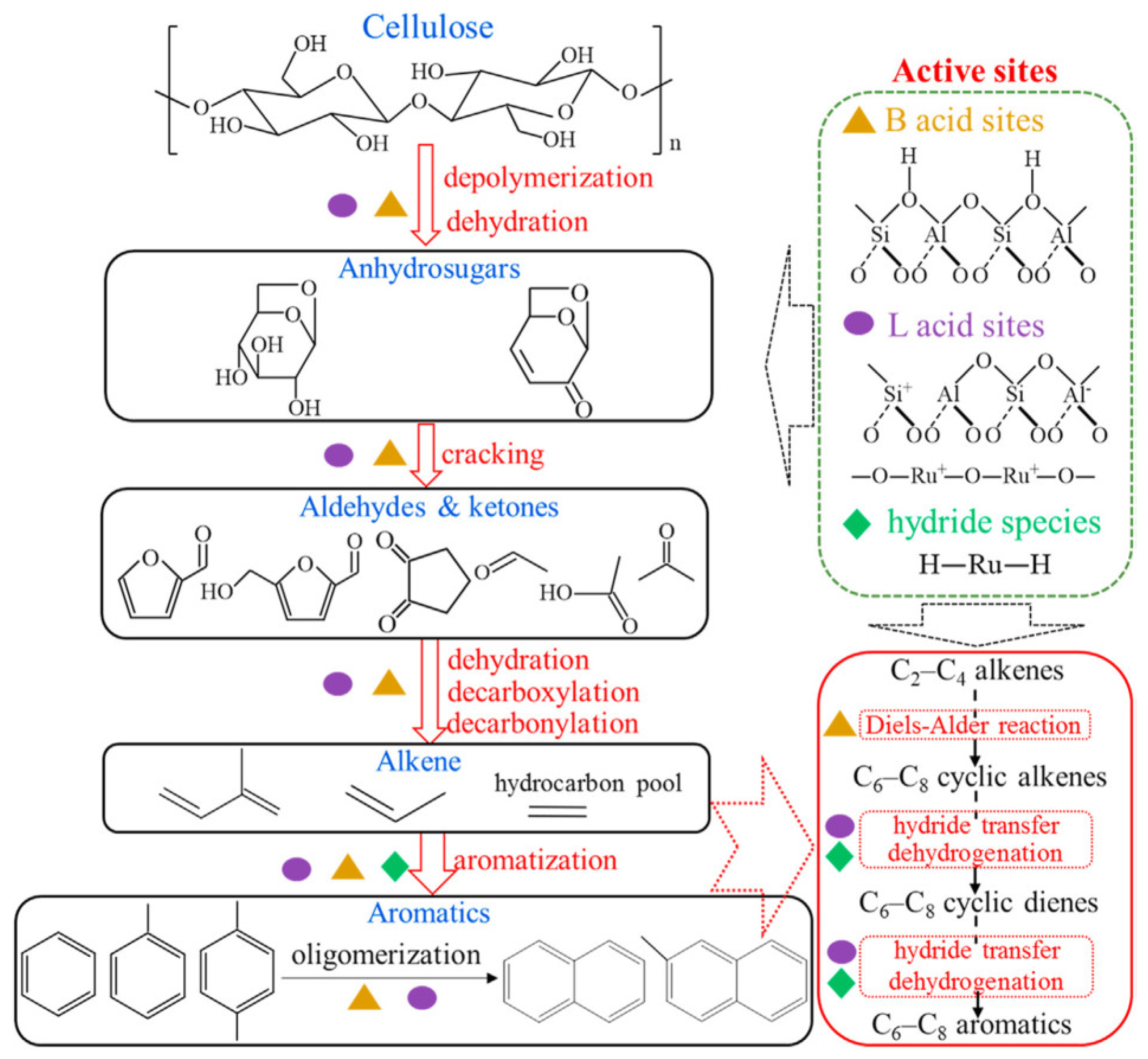 Molecules 30 03798 g016