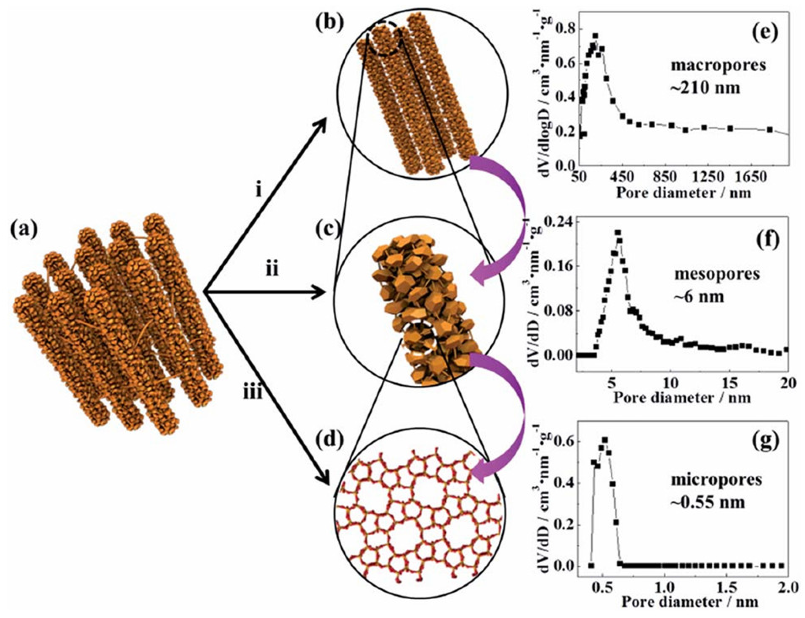 Molecules 30 03798 g022