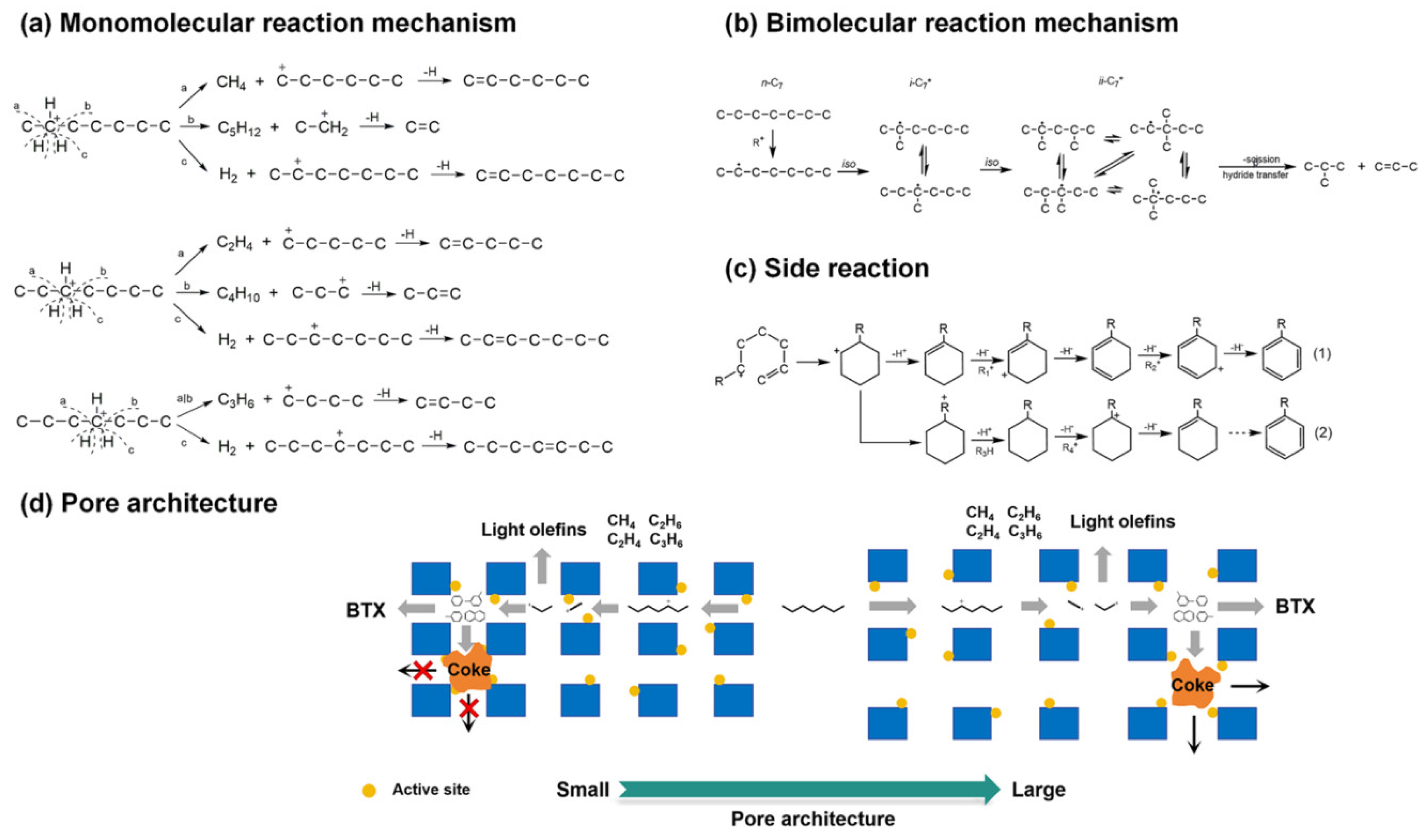 Molecules 30 03798 g024