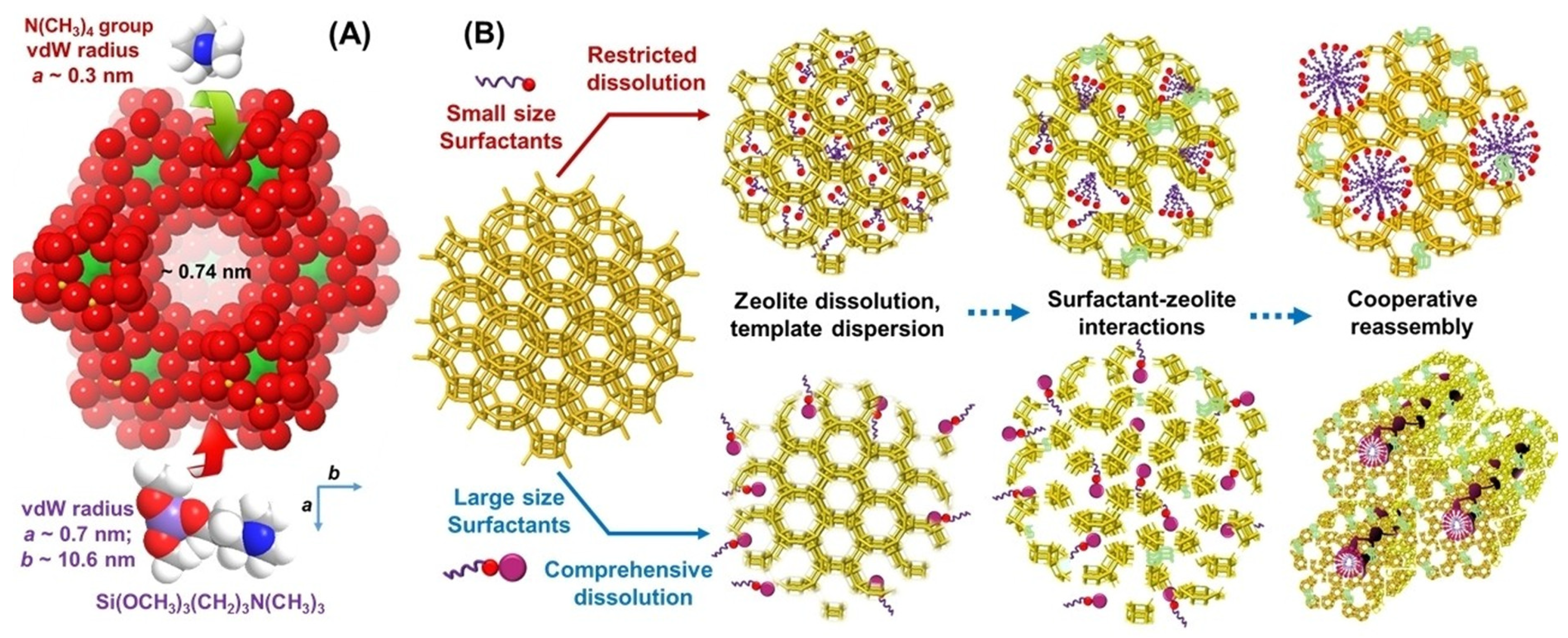 Molecules 30 03798 g025