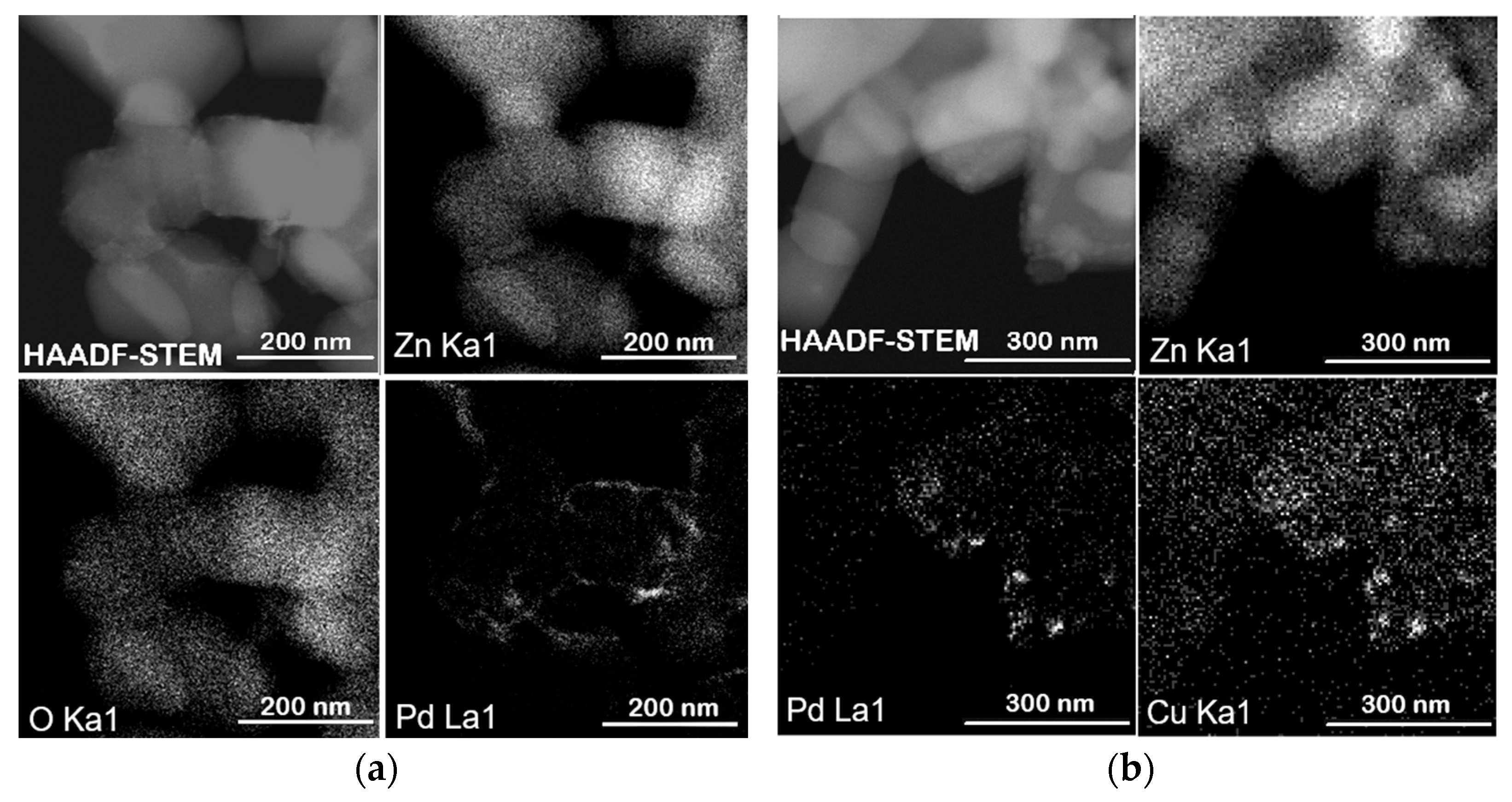 Molecules 30 03806 g005