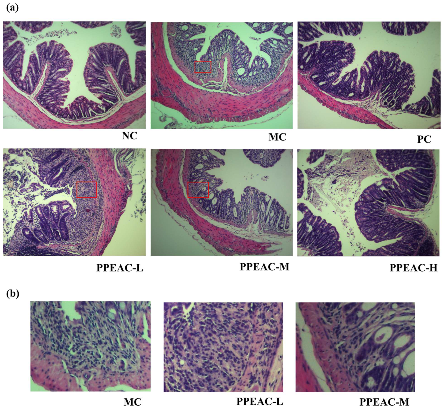 Molecules 30 03809 g003