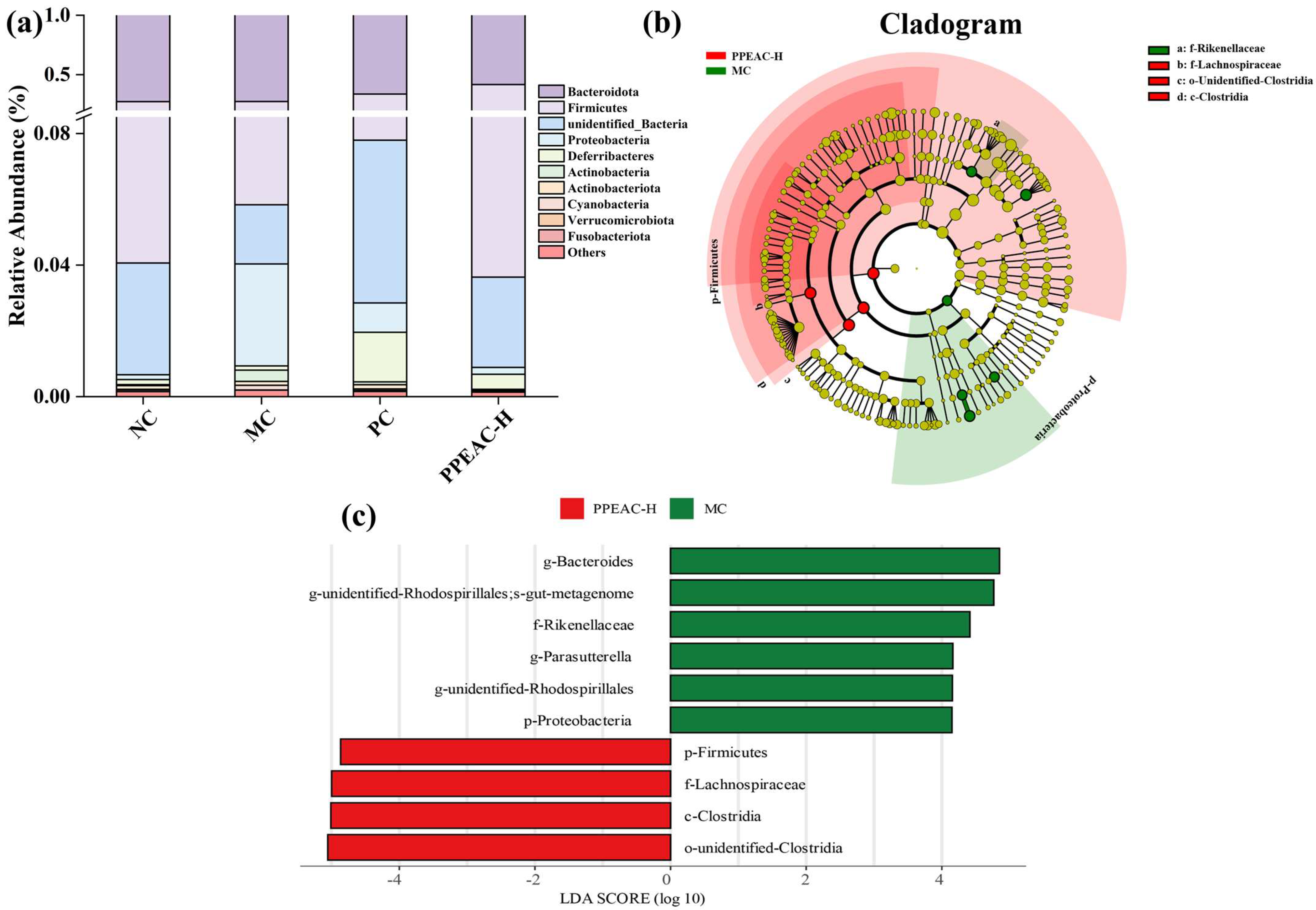 Molecules 30 03809 g005