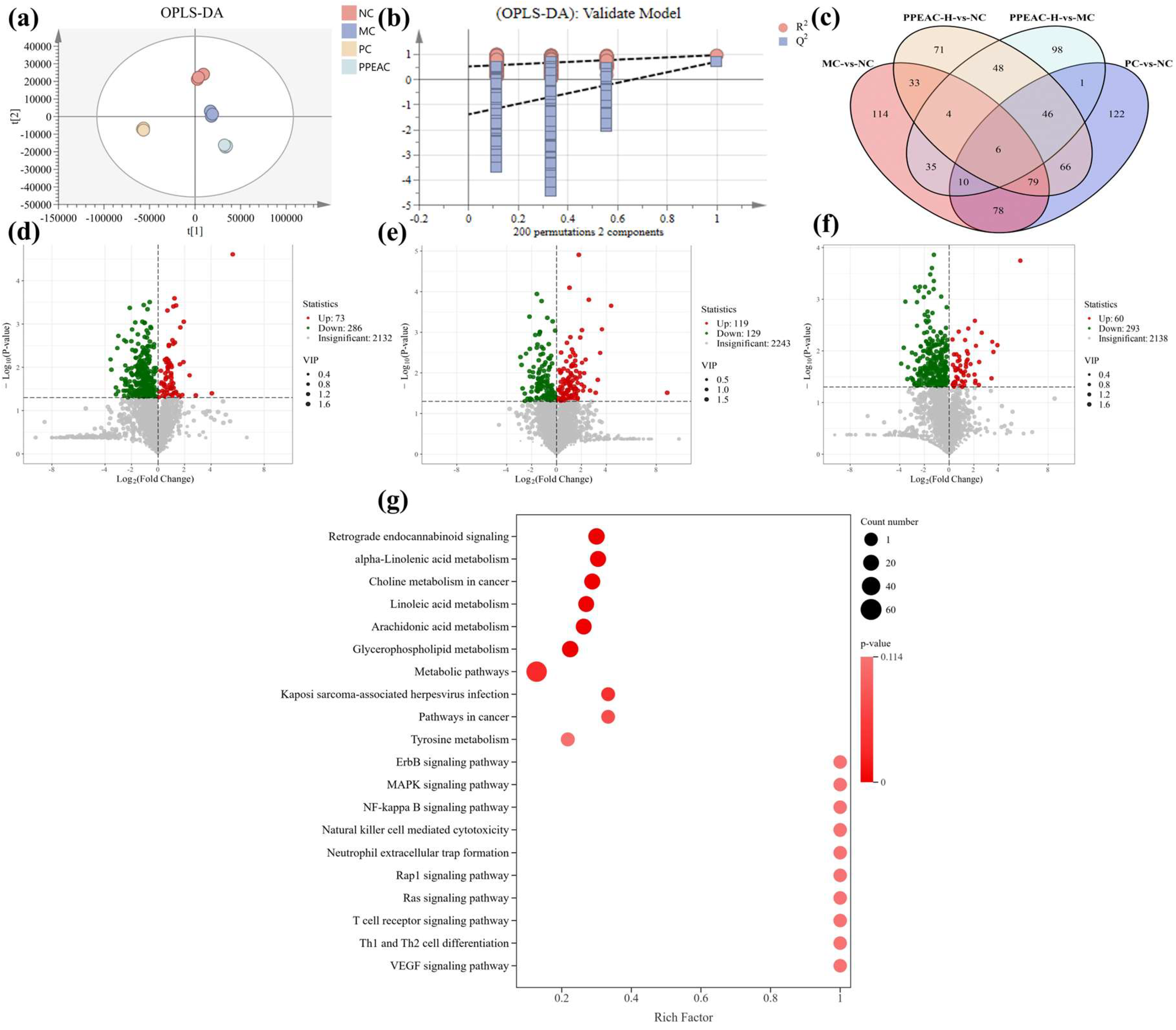 Molecules 30 03809 g006