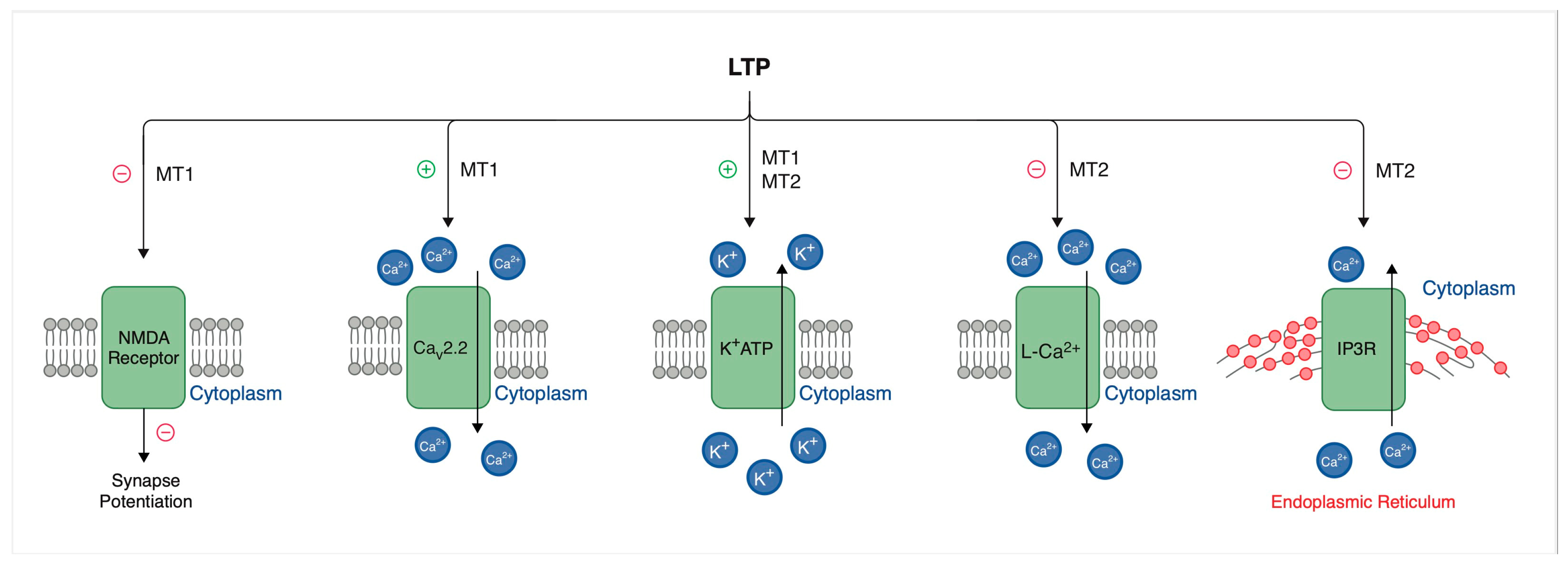 Molecules 30 03814 g002