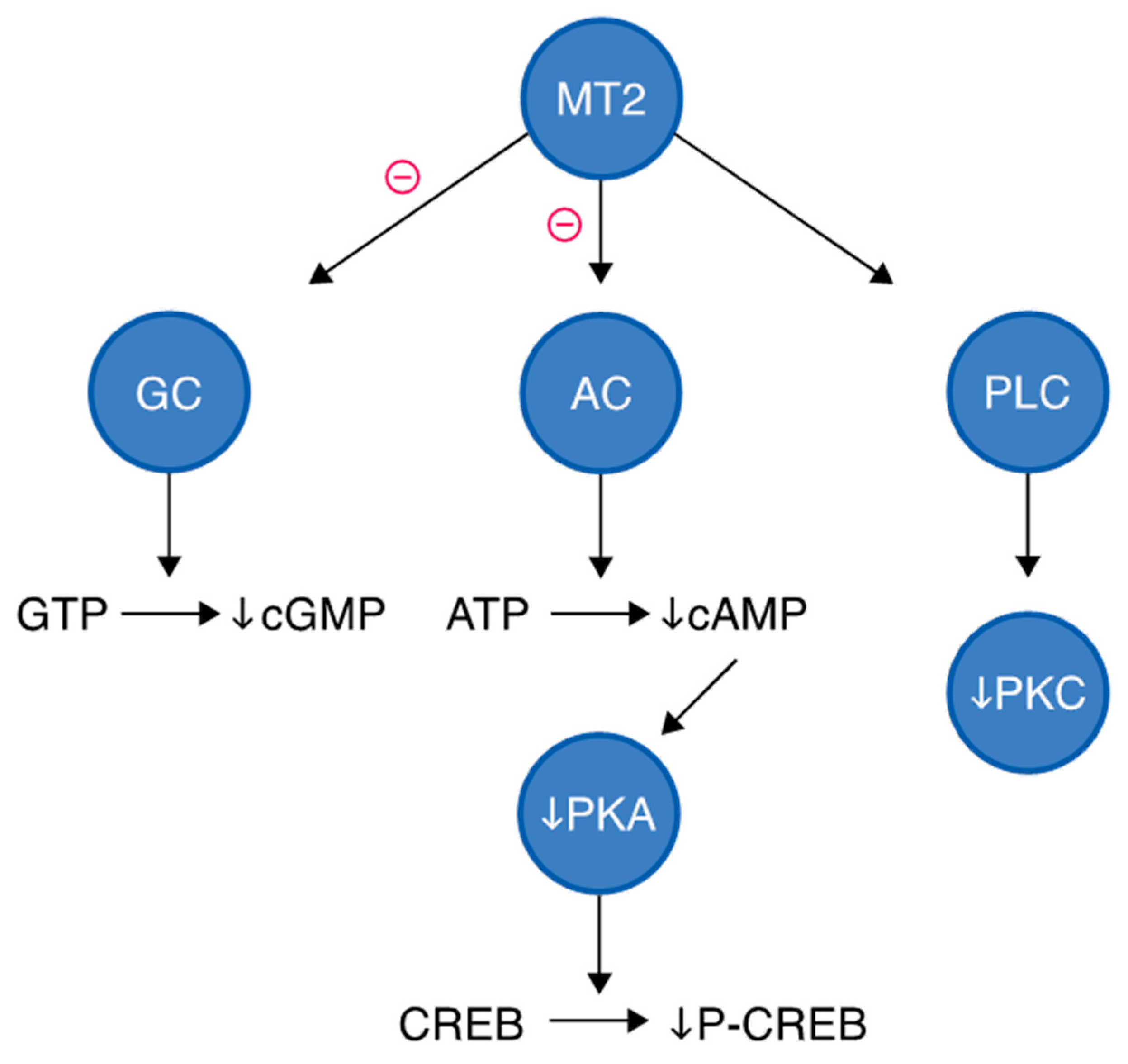 Molecules 30 03814 g004