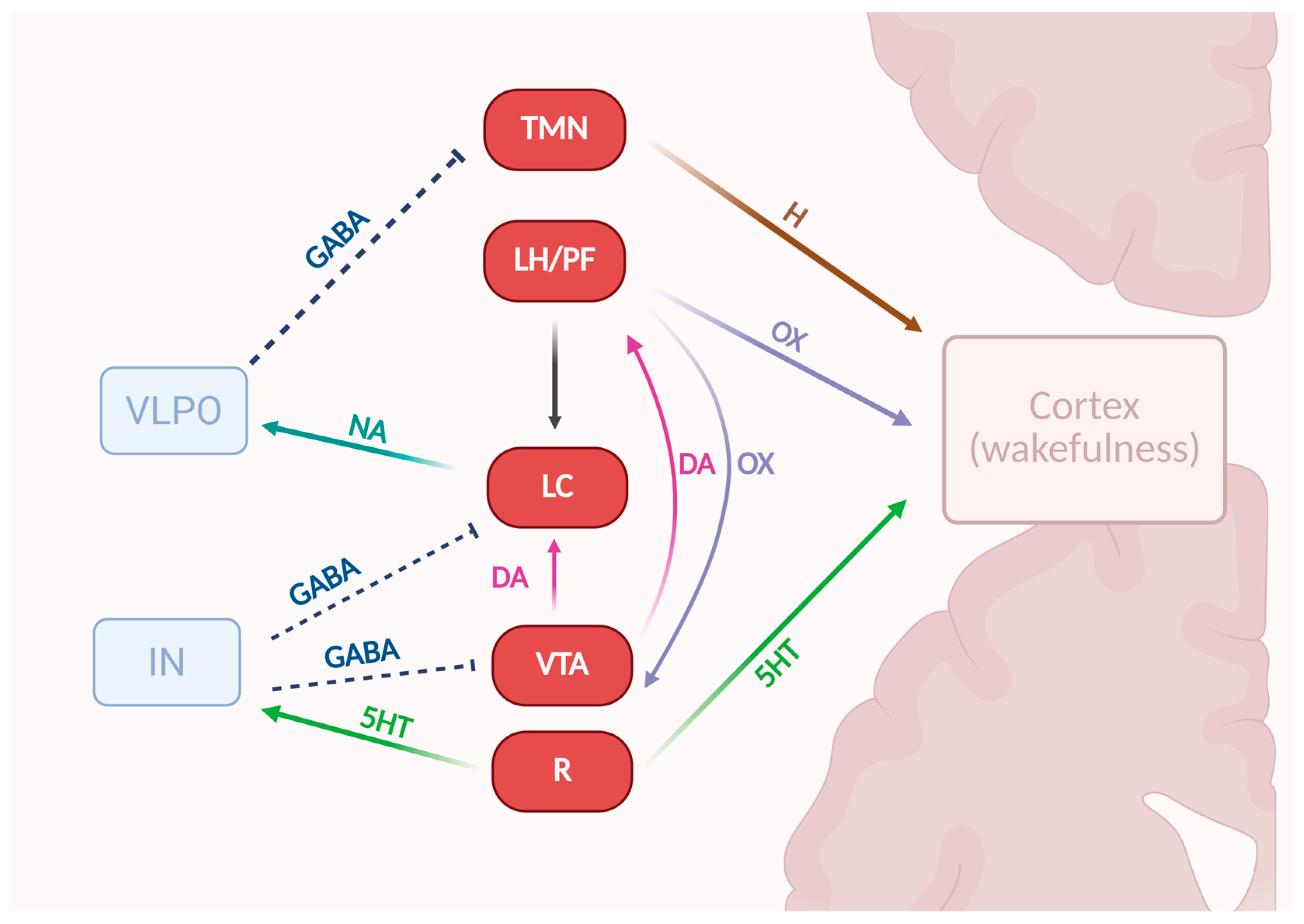 Molecules 30 03814 g005
