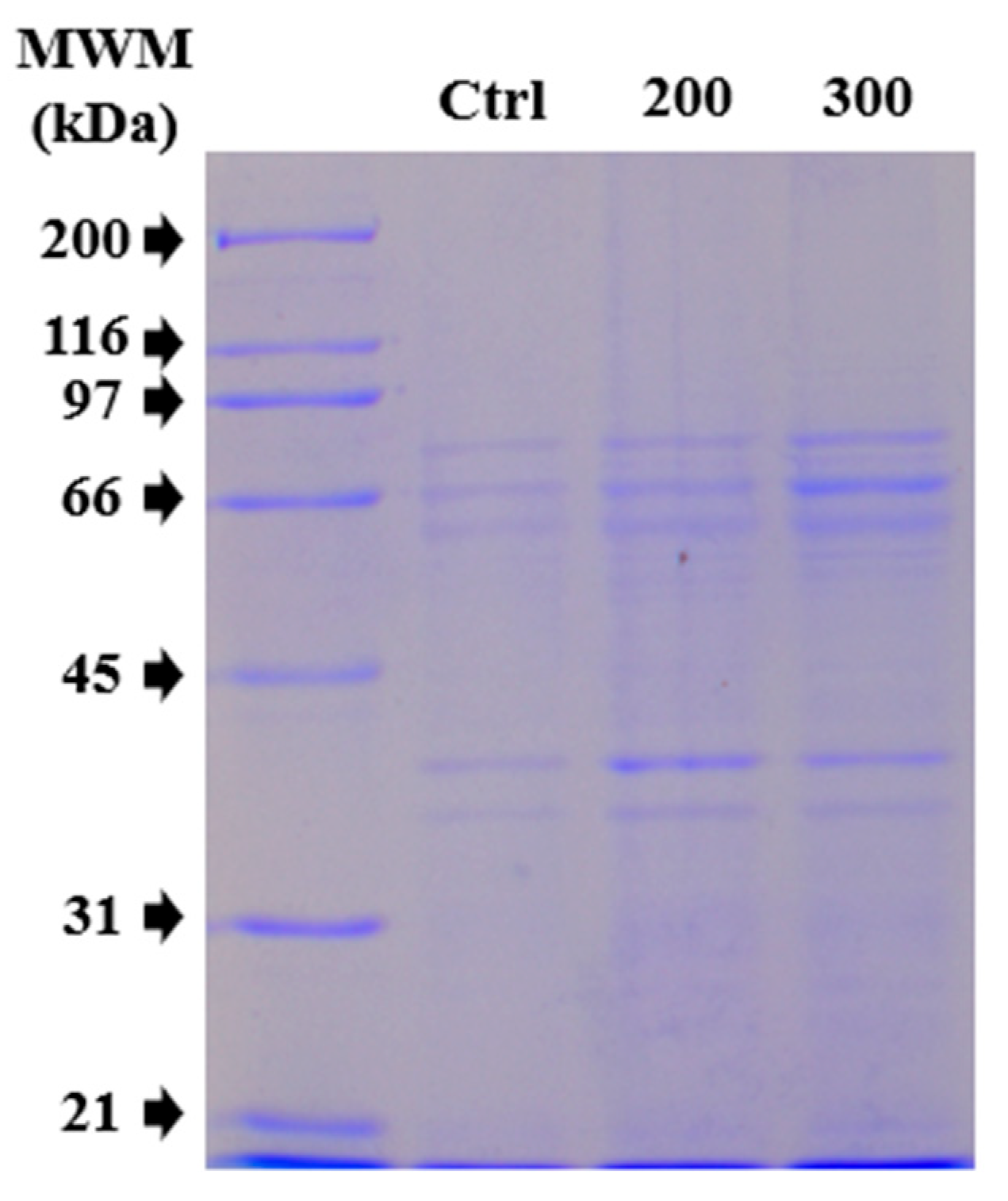 Molecules 30 03815 g004