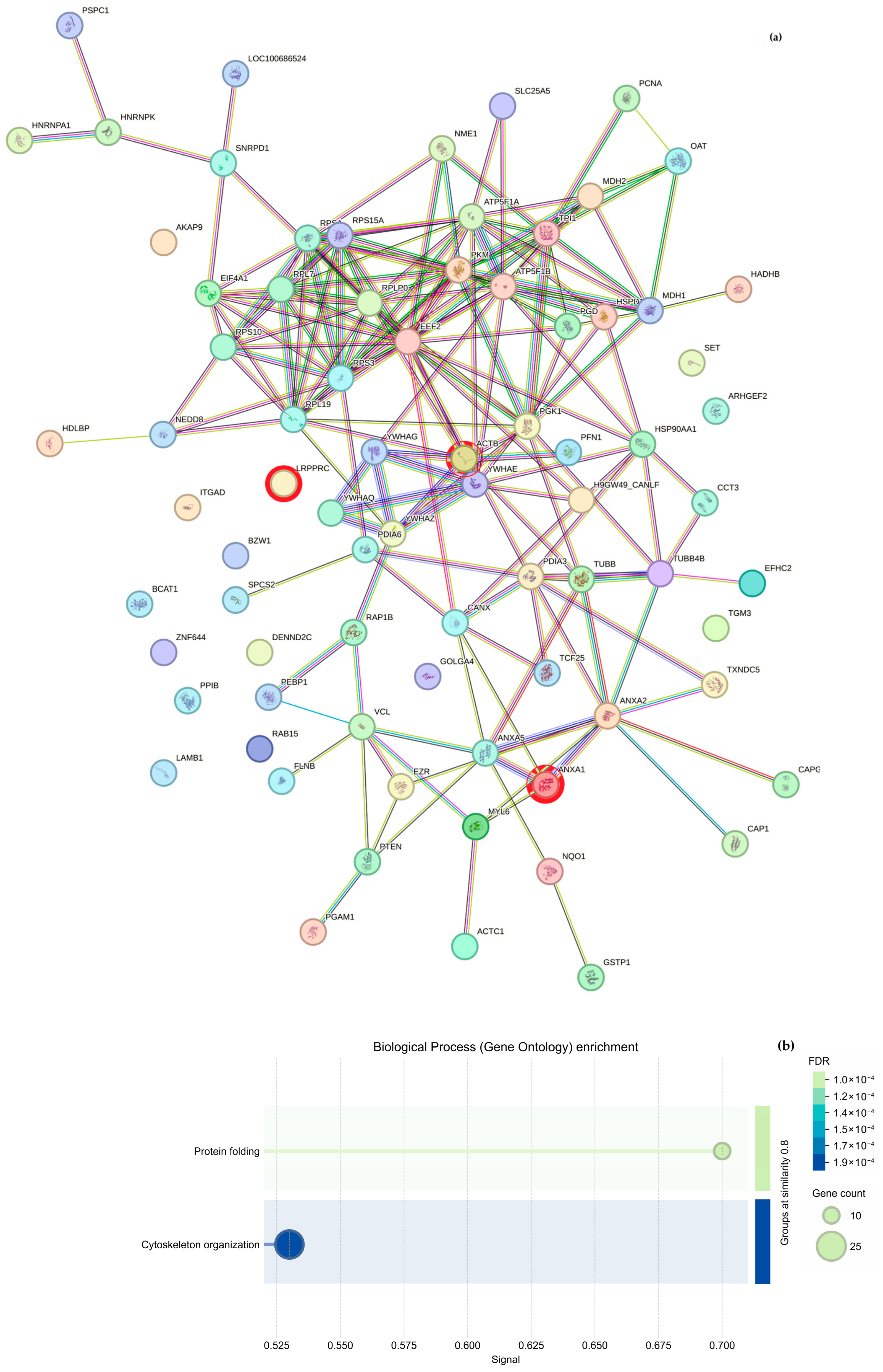 Molecules 30 03815 g006a