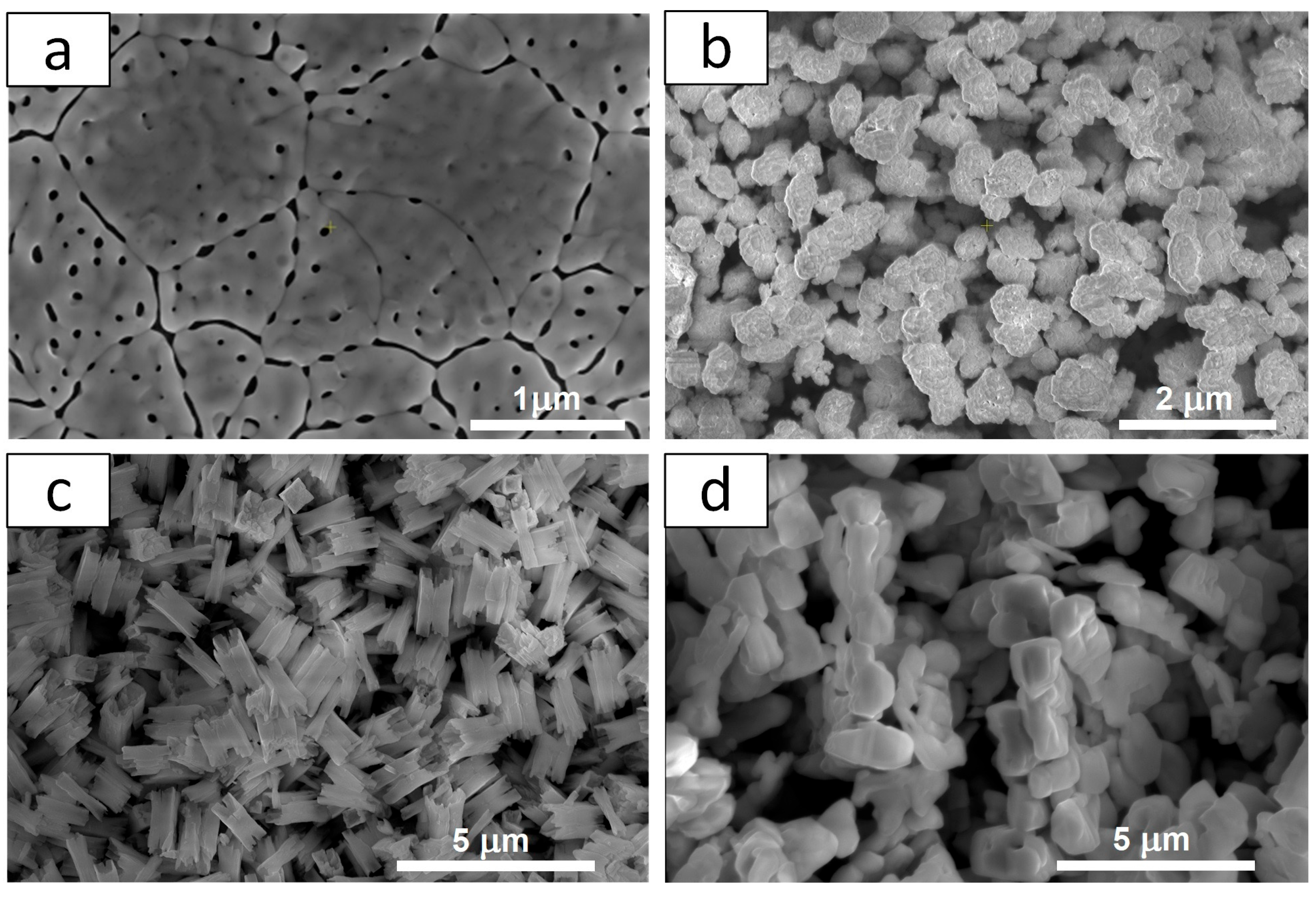 Molecules 30 03818 g003 Molecules 30 03818 g003
