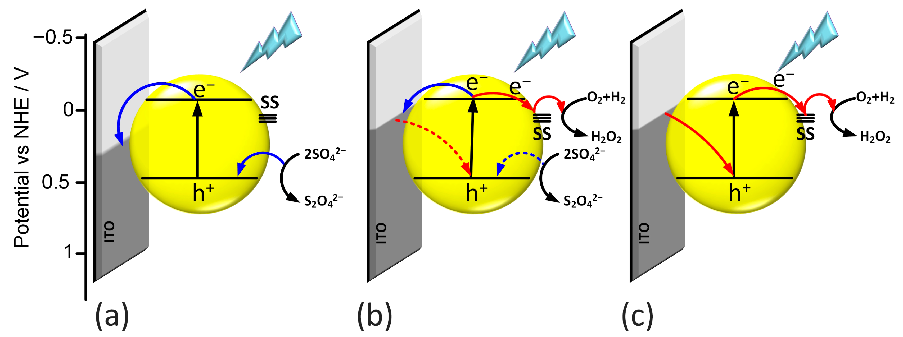 Molecules 30 03818 g008 Molecules 30 03818 g008