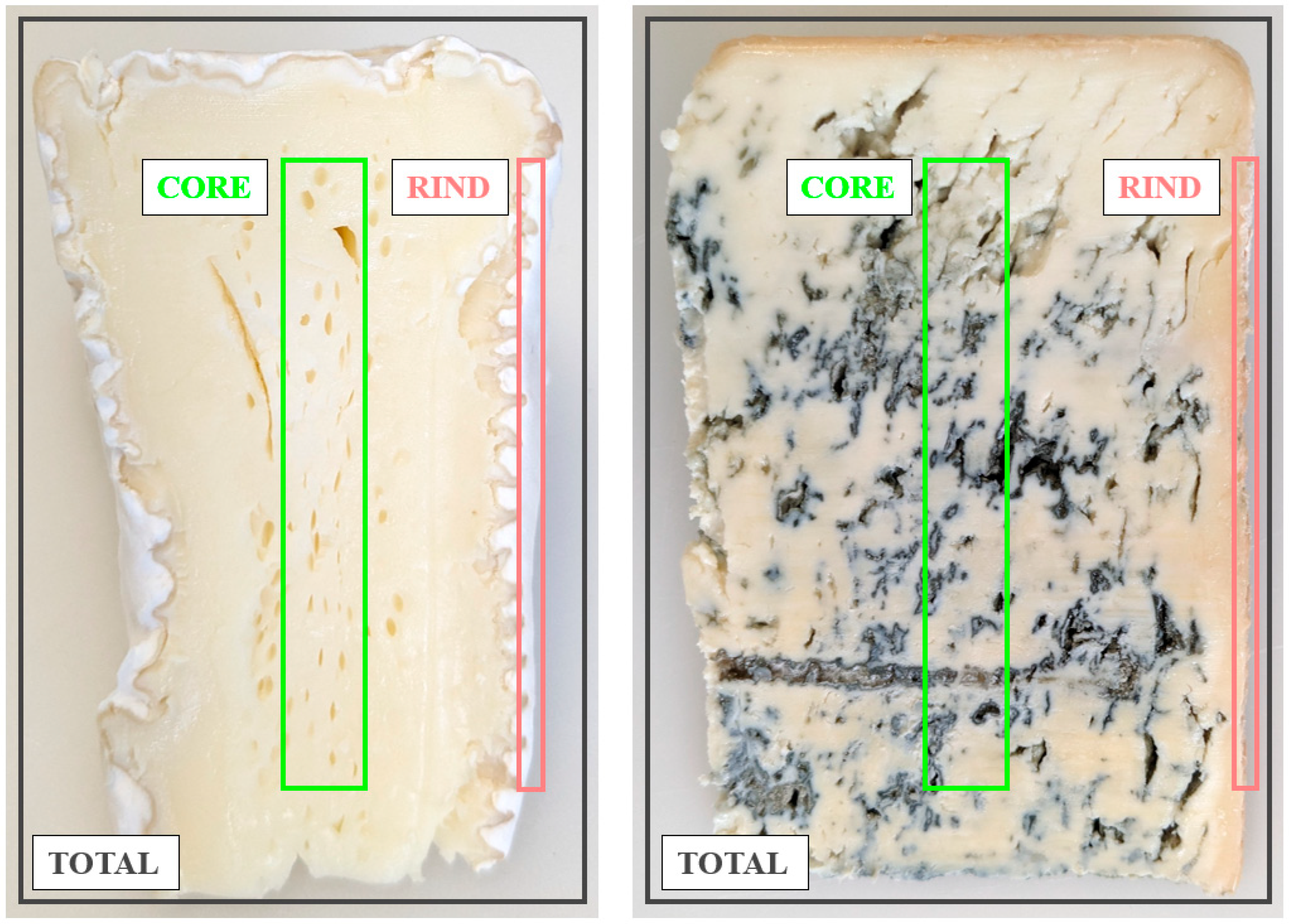 Molecules 30 03819 g001 Molecules 30 03819 g001
