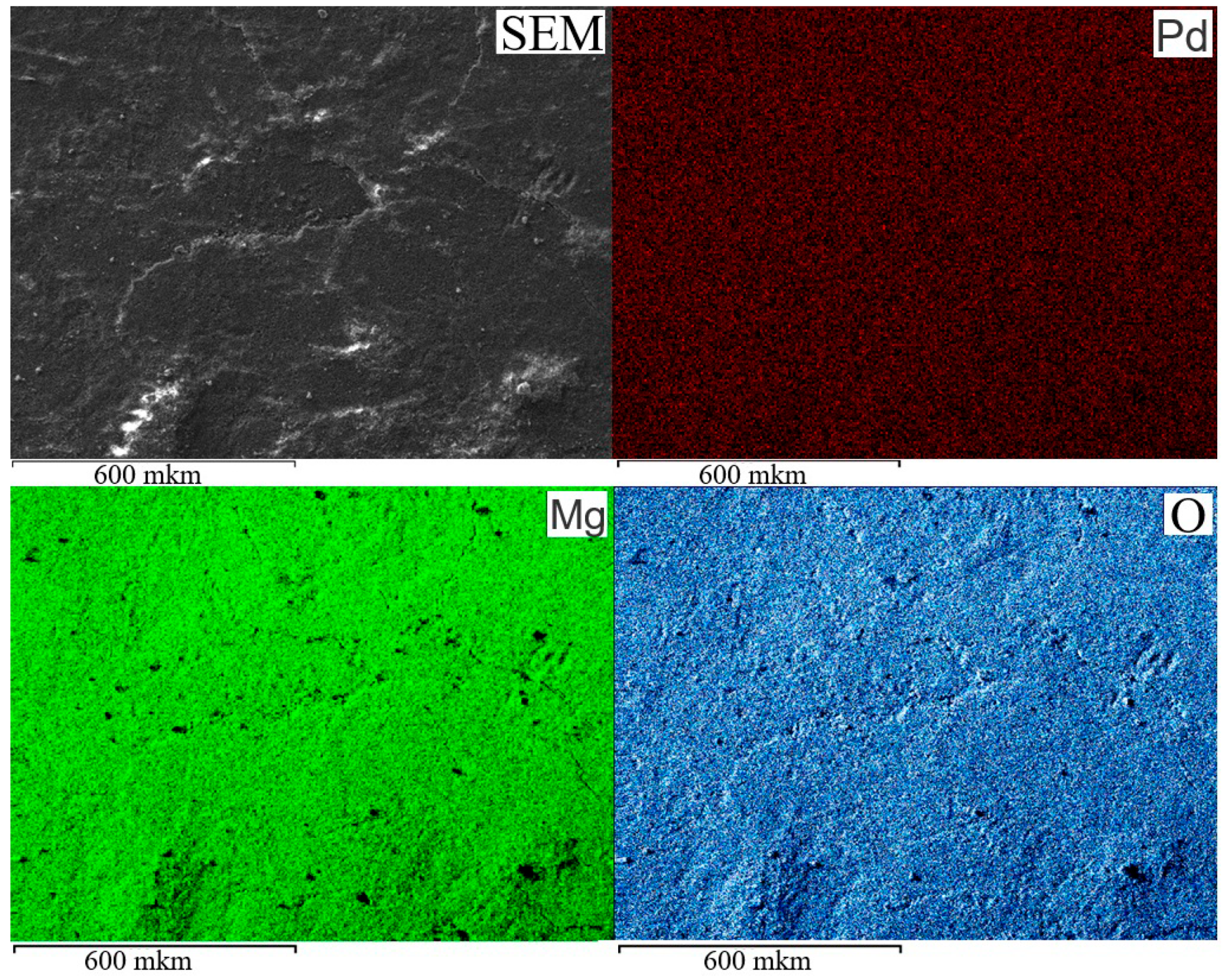 Molecules 30 03820 g001 Molecules 30 03820 g001