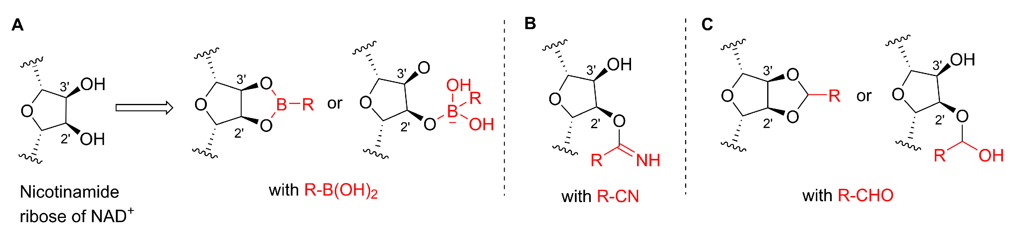 Molecules 30 03821 g002