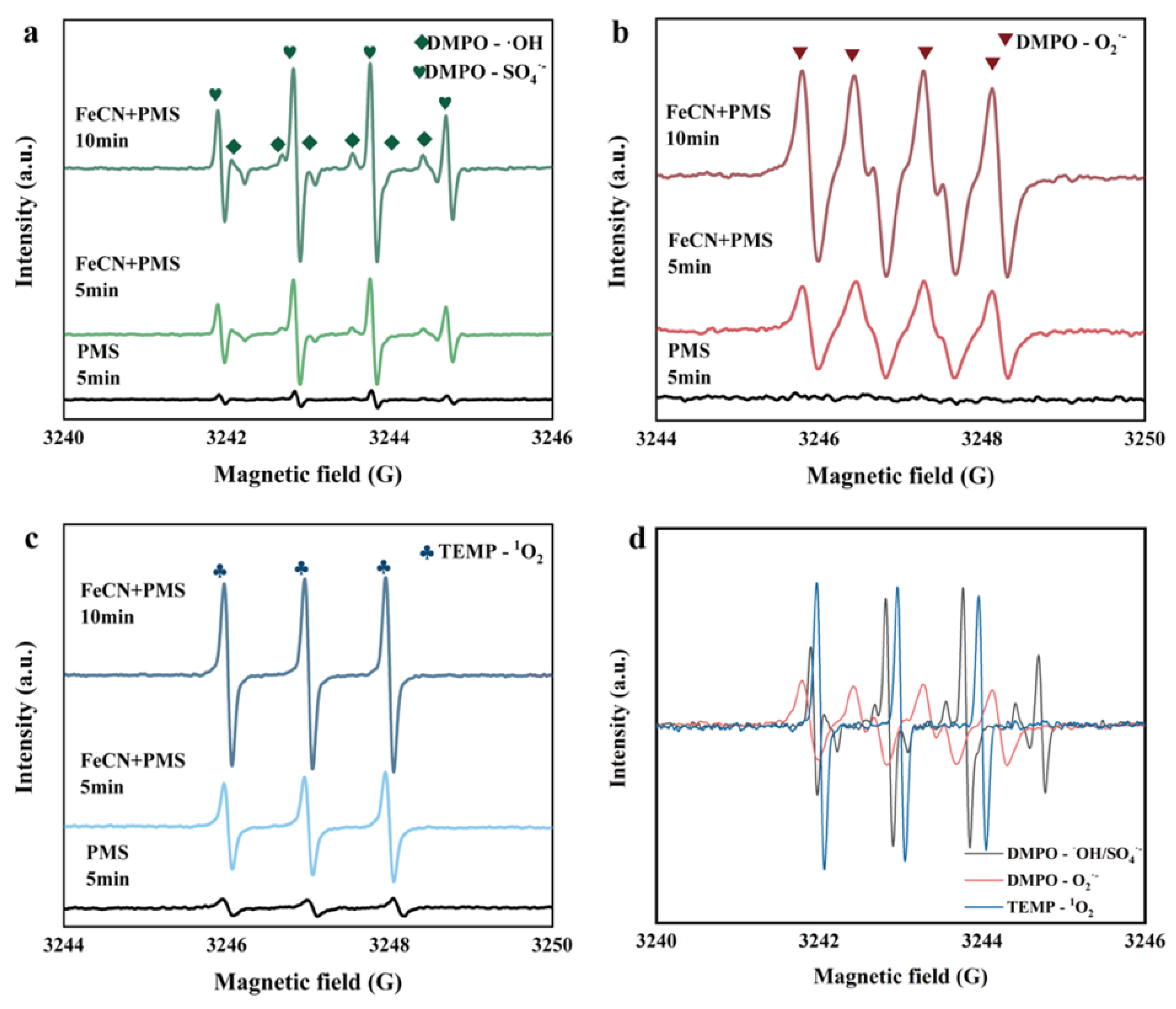 Molecules 30 03835 g006