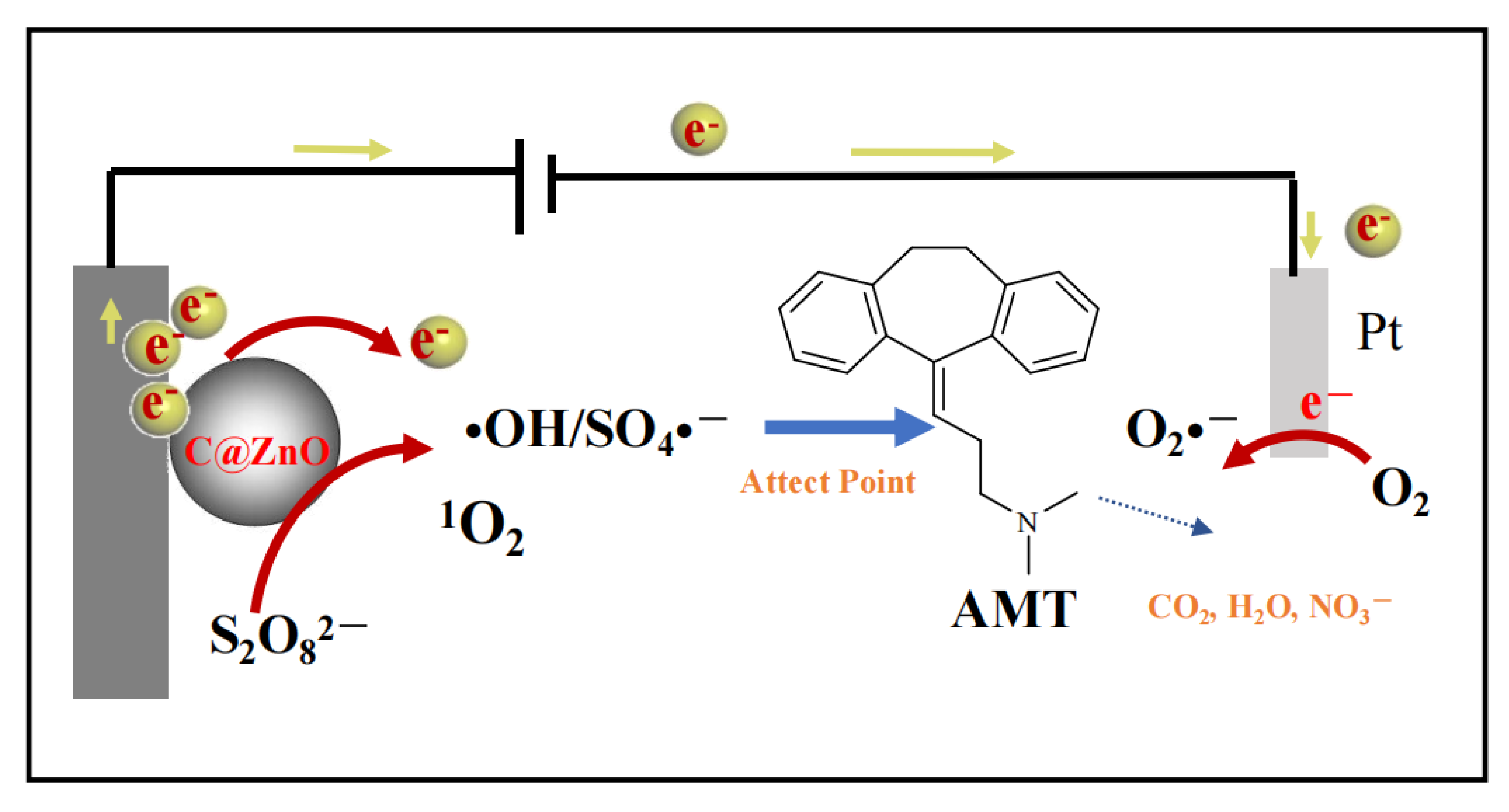 Molecules 30 03835 g008