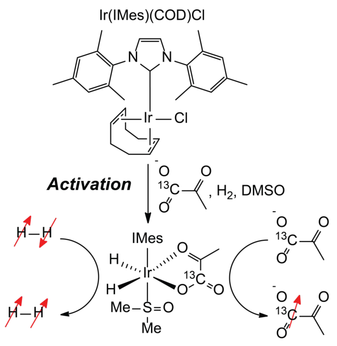 Molecules 30 03837 g001 Molecules 30 03837 g001