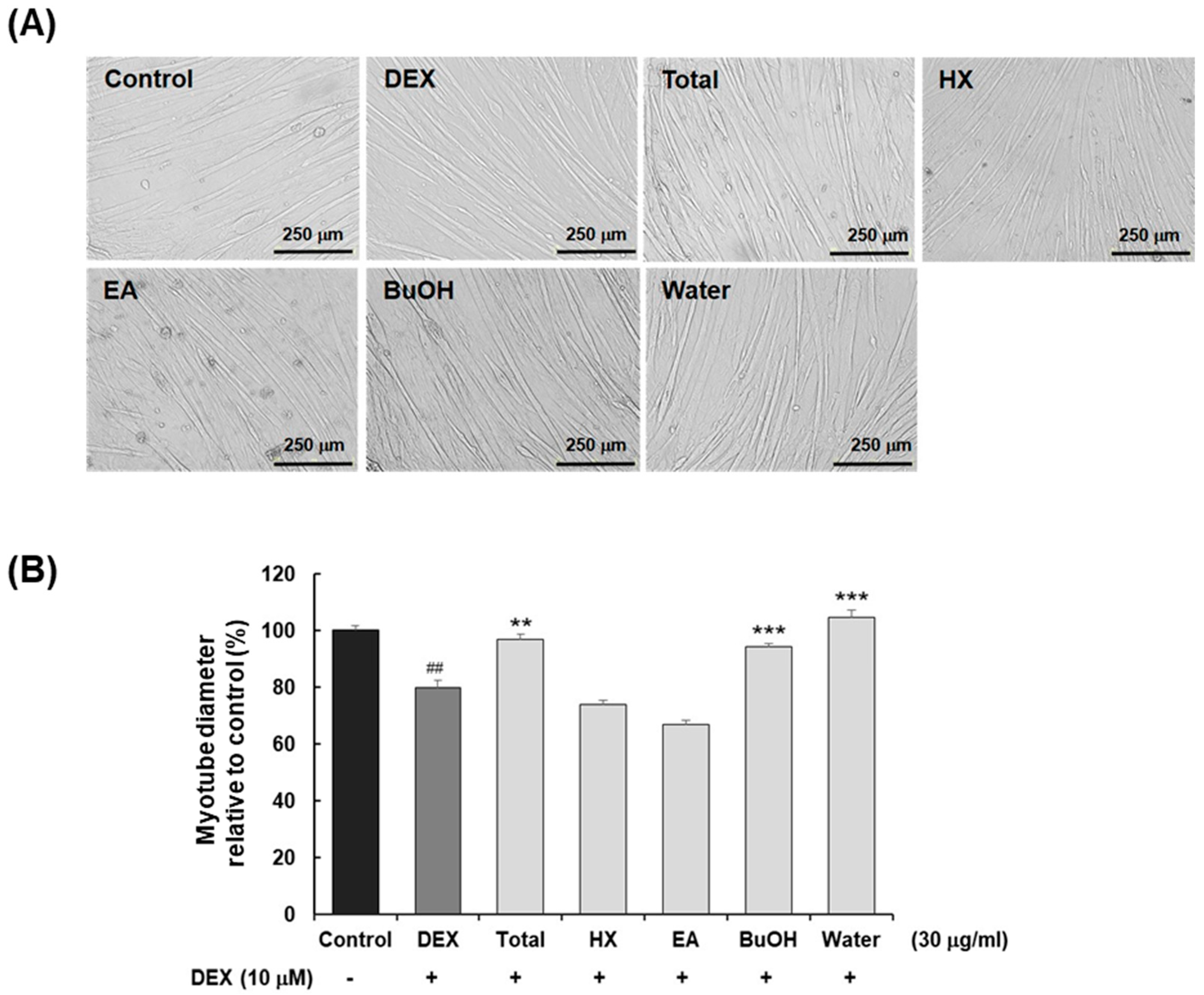 Molecules 30 03839 g001 Molecules 30 03839 g001