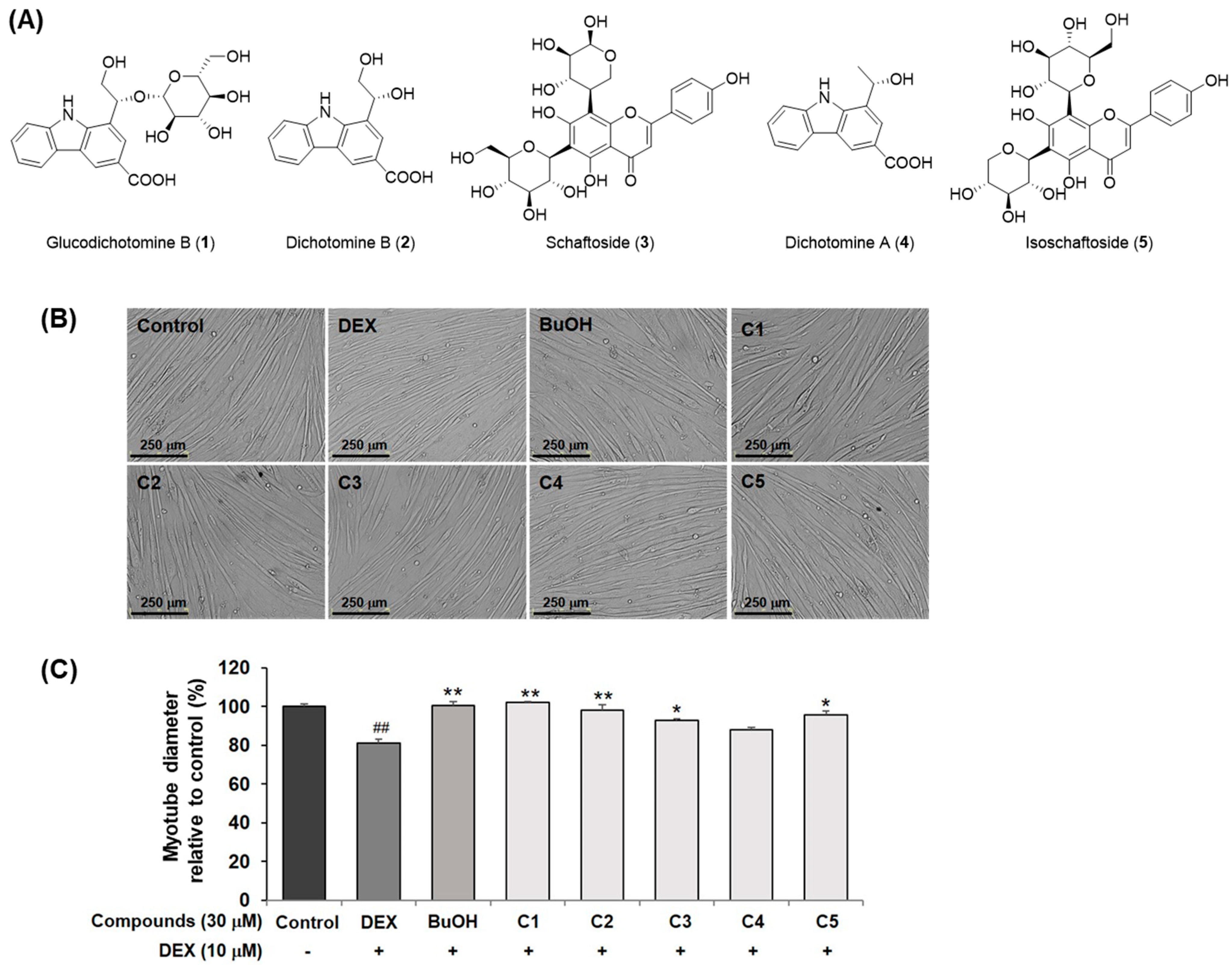 Molecules 30 03839 g002 Molecules 30 03839 g002