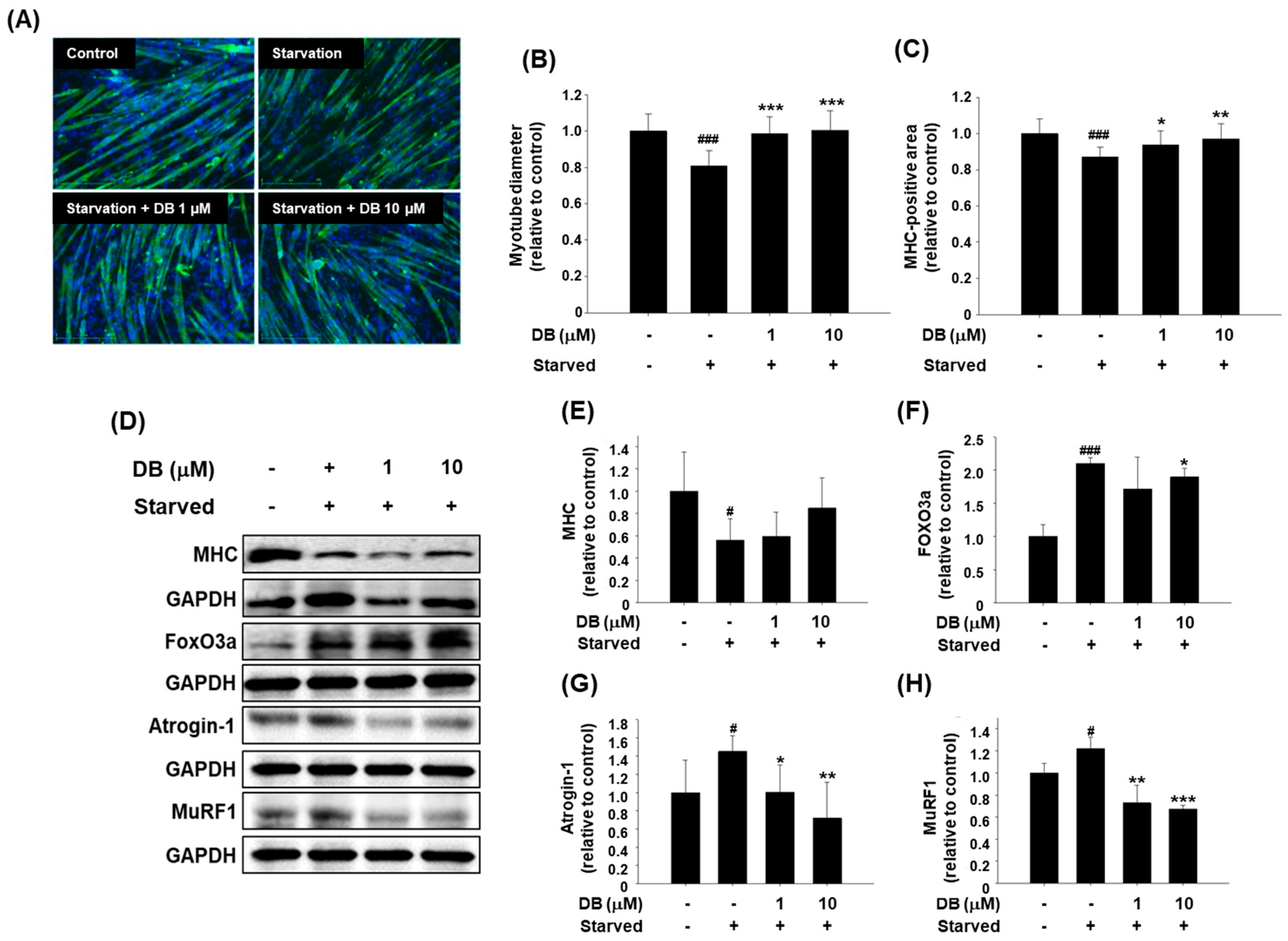 Molecules 30 03839 g004 Molecules 30 03839 g004