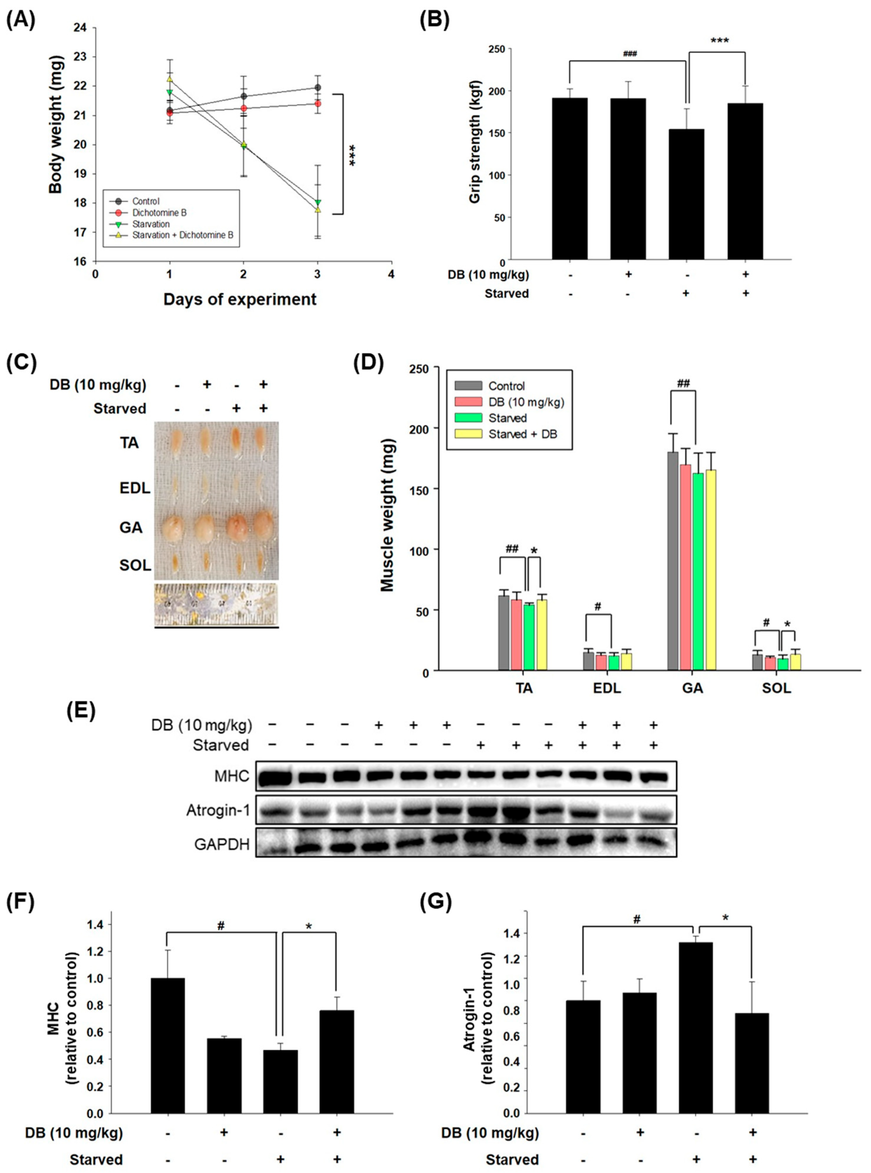 Molecules 30 03839 g005 Molecules 30 03839 g005