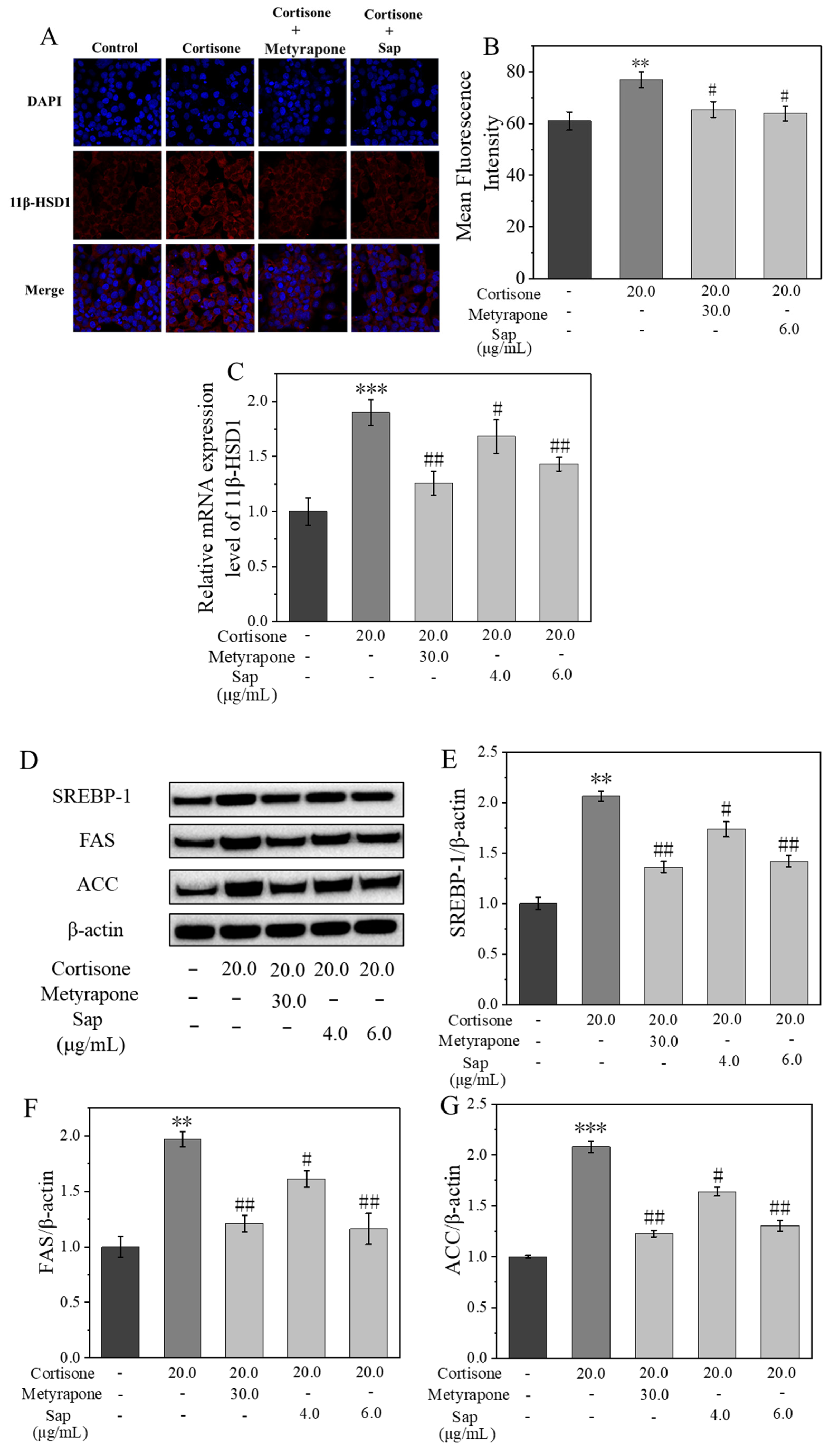 Molecules 30 03844 g004a Molecules 30 03844 g004a