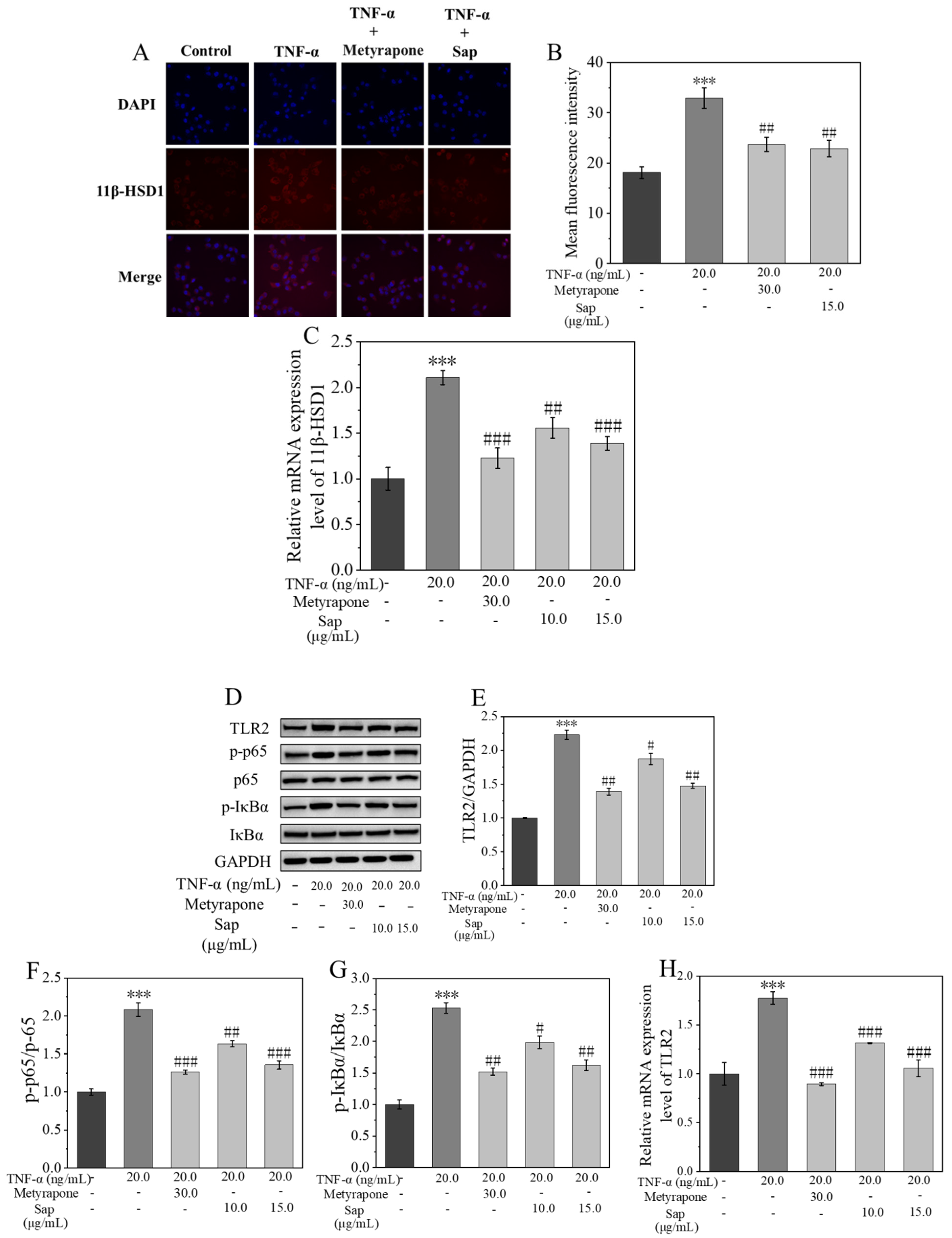 Molecules 30 03844 g007 Molecules 30 03844 g007