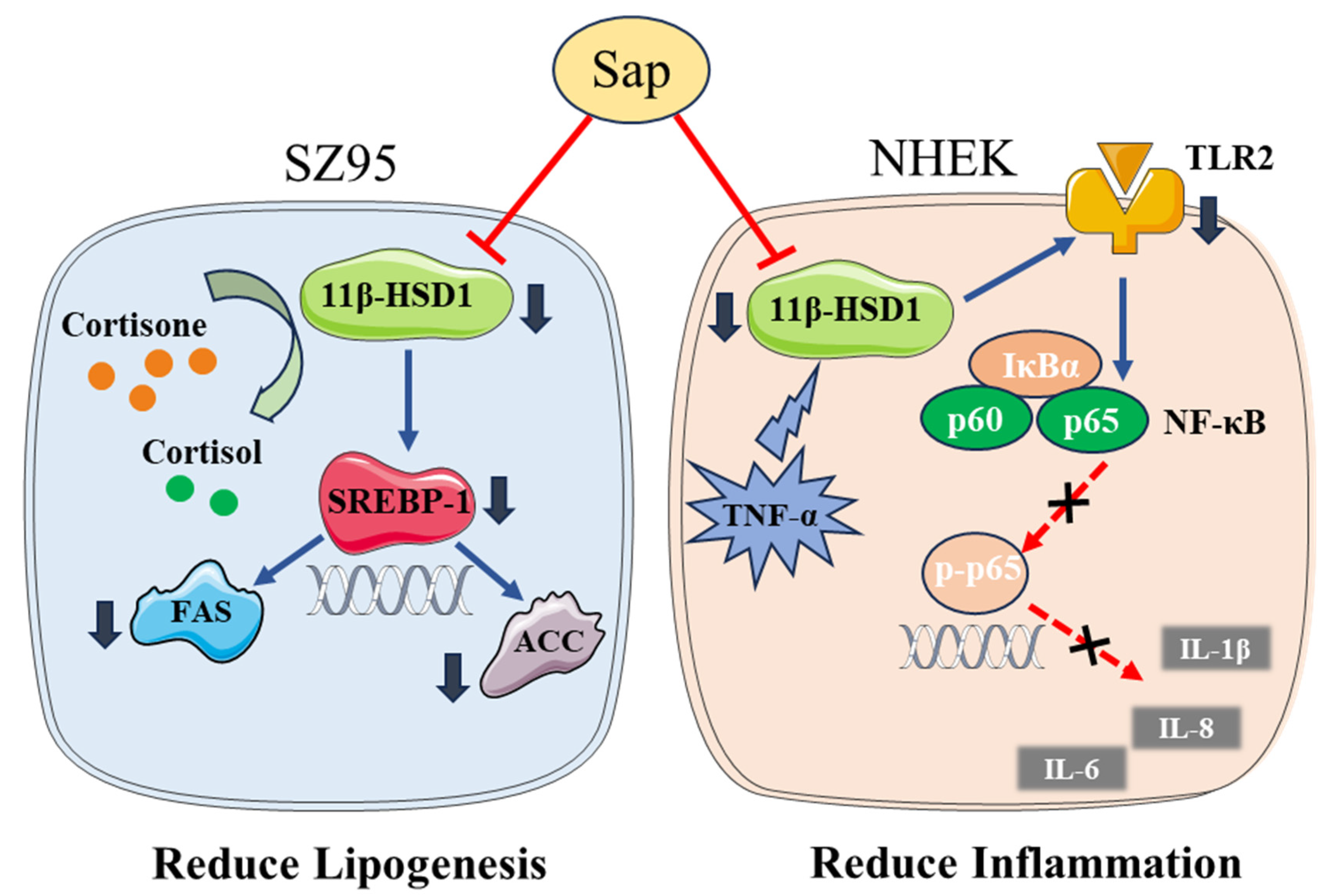 Molecules 30 03844 g008 Molecules 30 03844 g008
