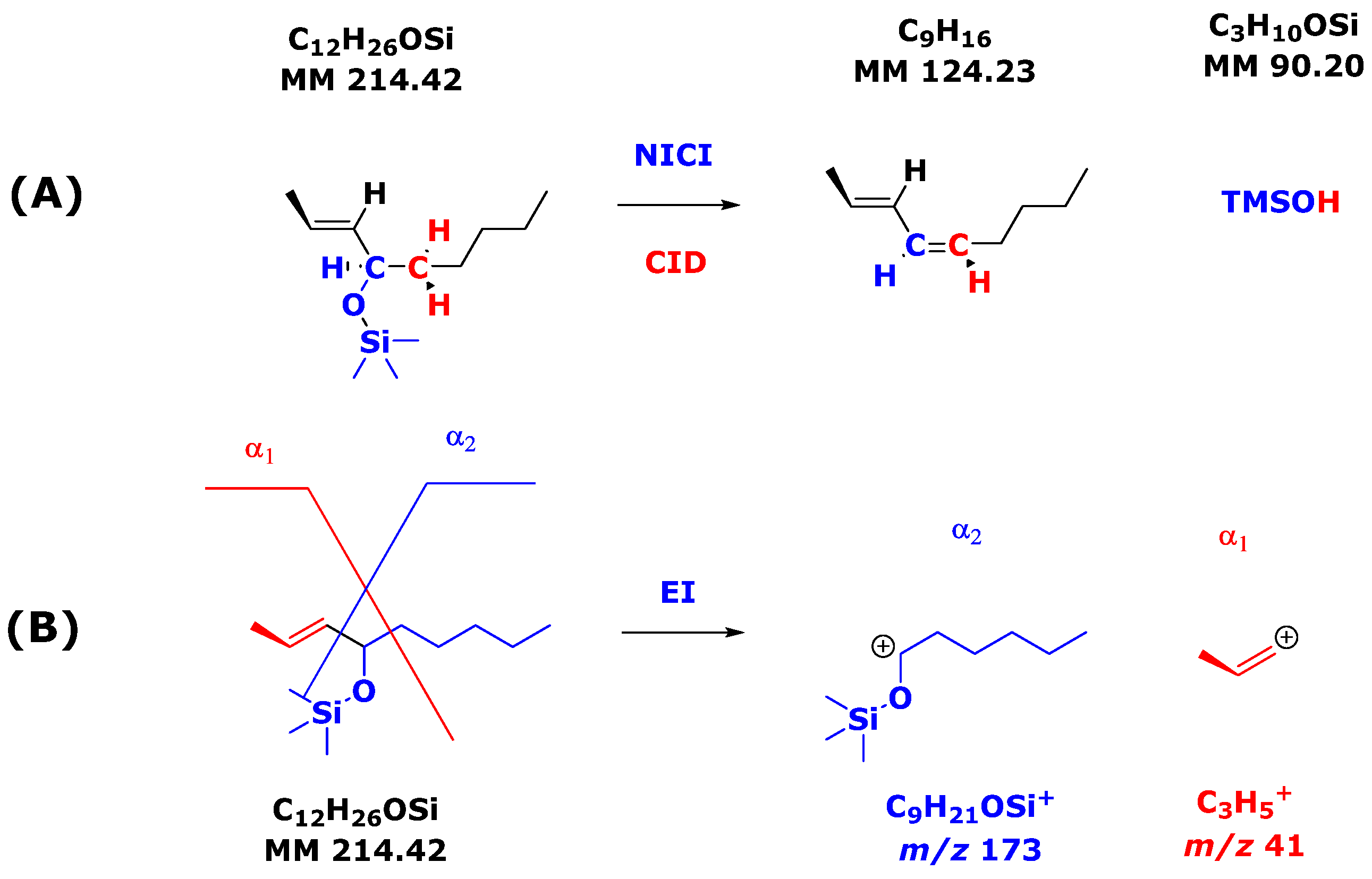 Molecules 30 03846 sch001