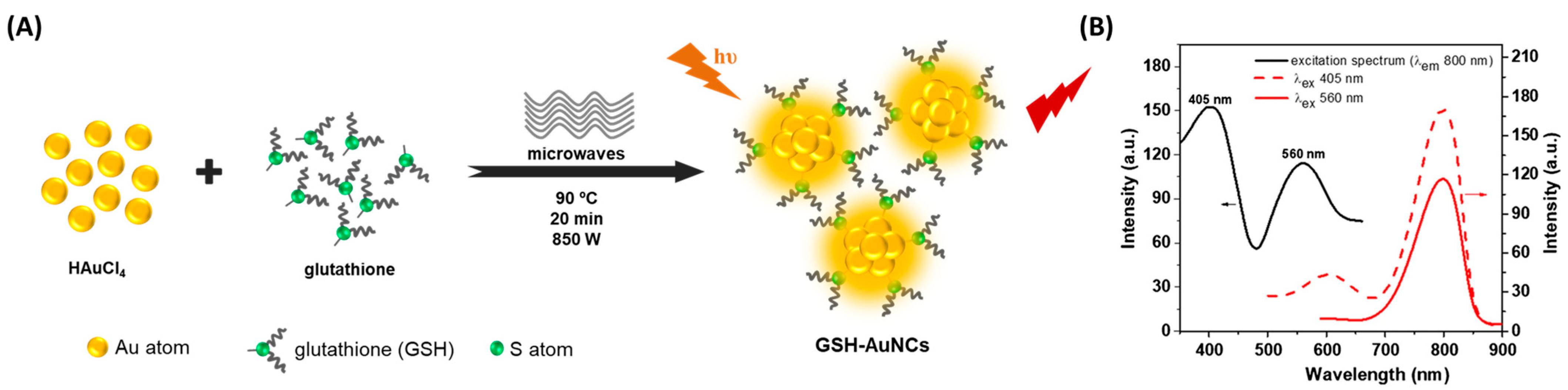 Molecules 30 03848 g001 Molecules 30 03848 g001