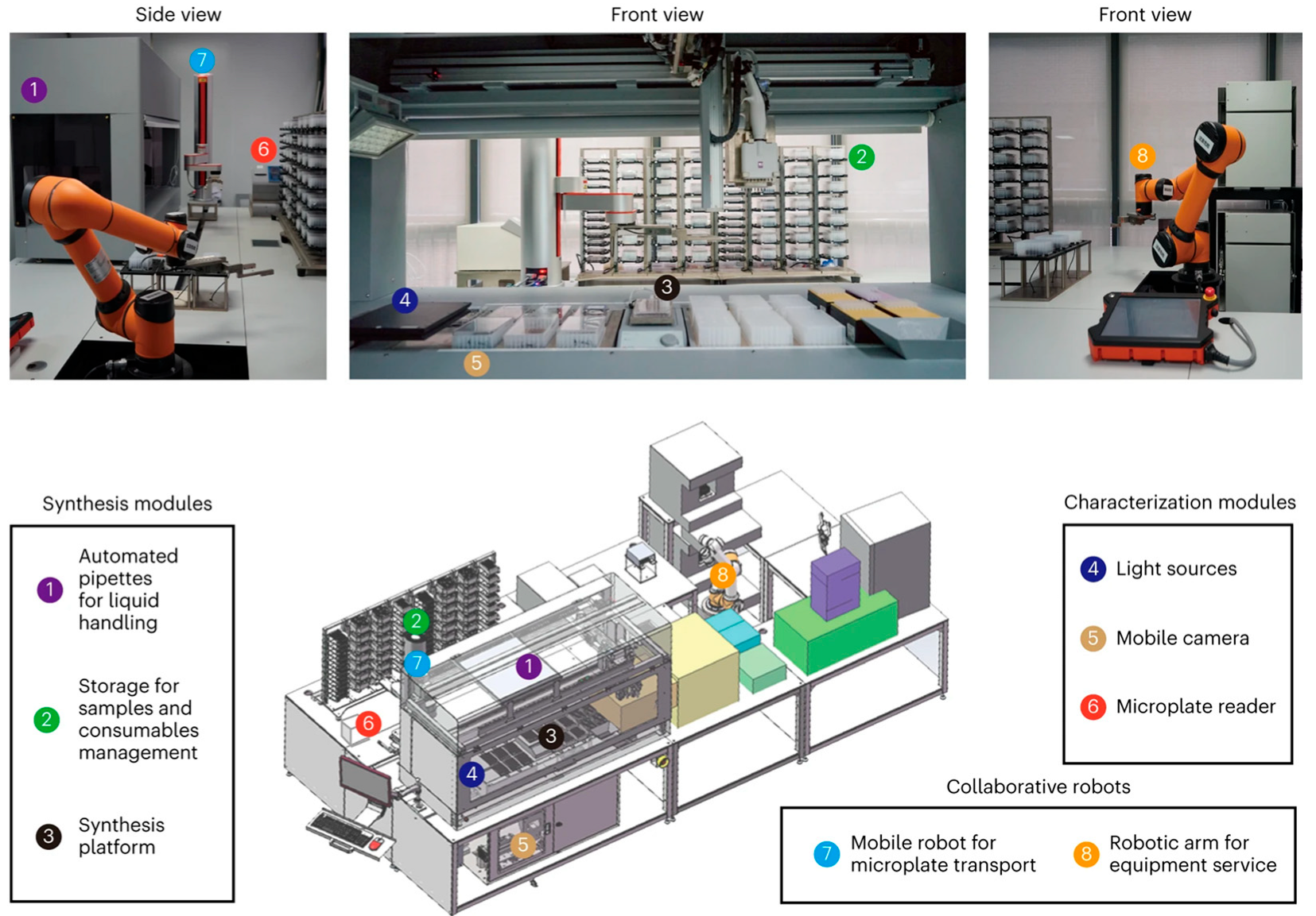 Molecules 30 03848 g004 Molecules 30 03848 g004