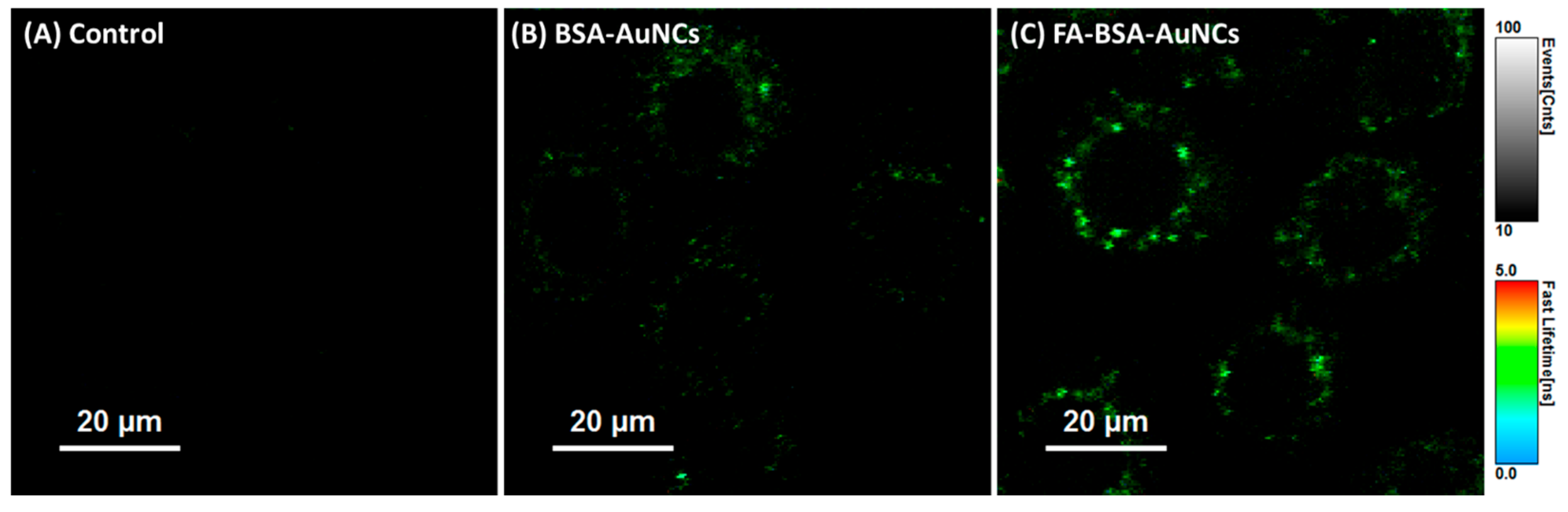 Molecules 30 03848 g005 Molecules 30 03848 g005
