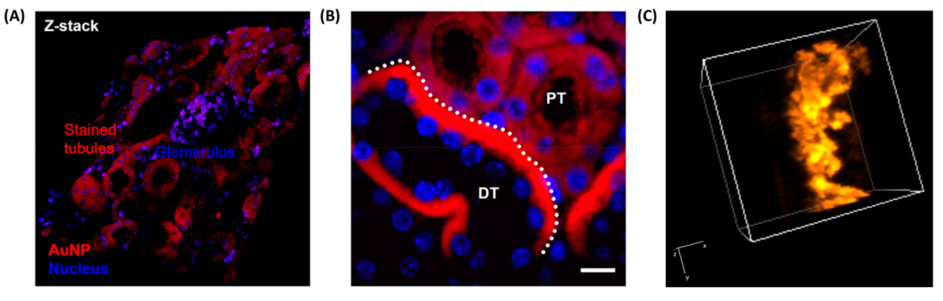 Molecules 30 03848 g006 Molecules 30 03848 g006