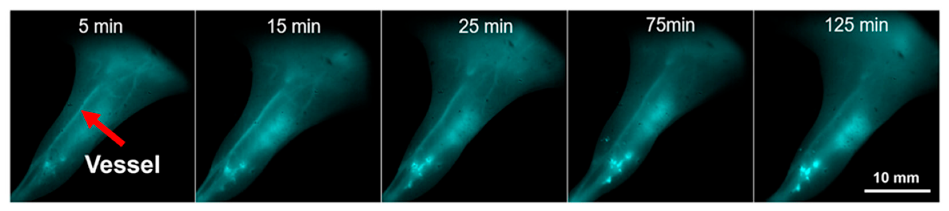 Molecules 30 03848 g007 Molecules 30 03848 g007