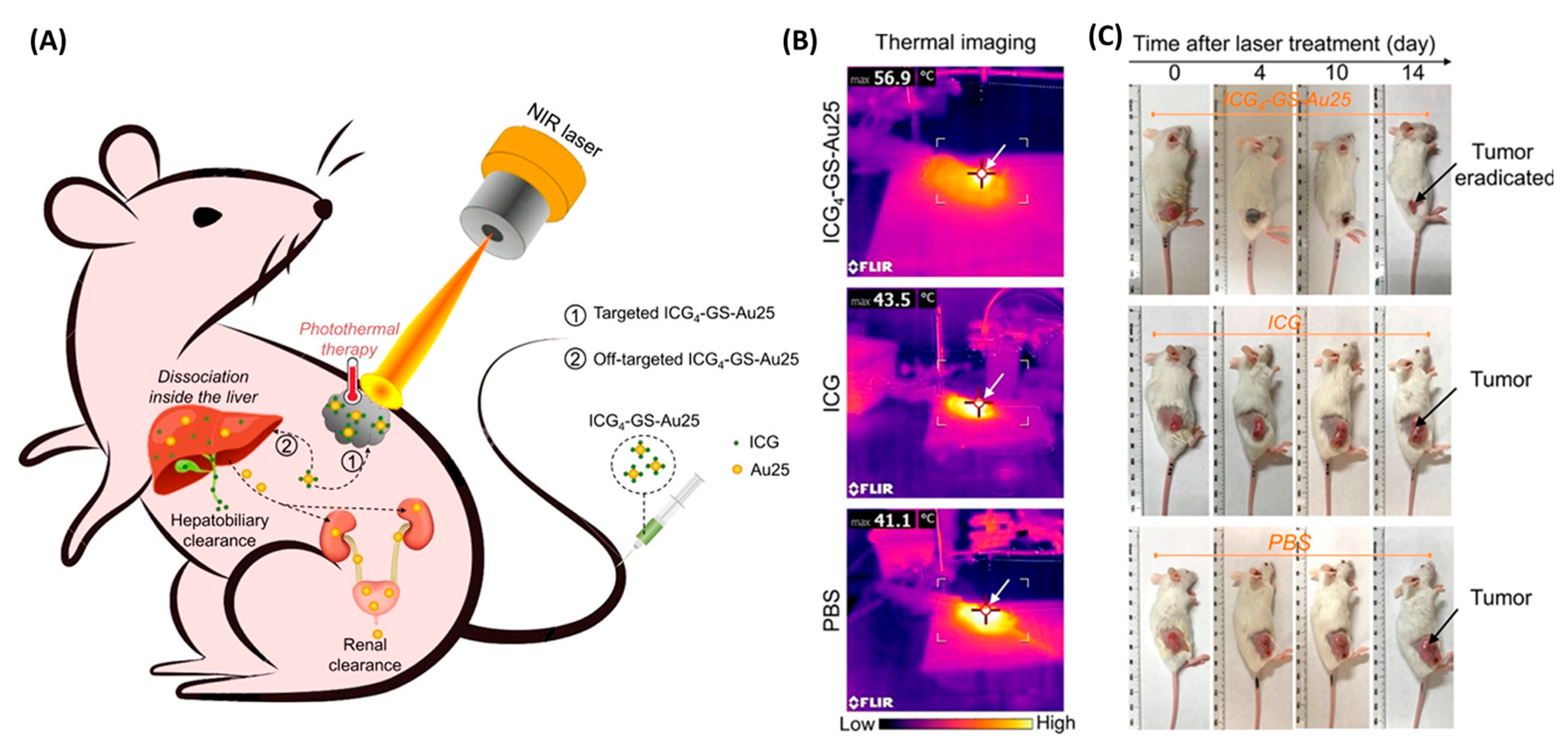 Molecules 30 03848 g008 Molecules 30 03848 g008