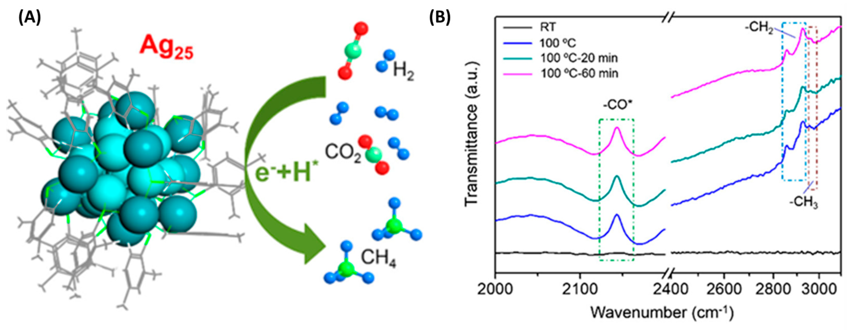 Molecules 30 03848 g011 Molecules 30 03848 g011