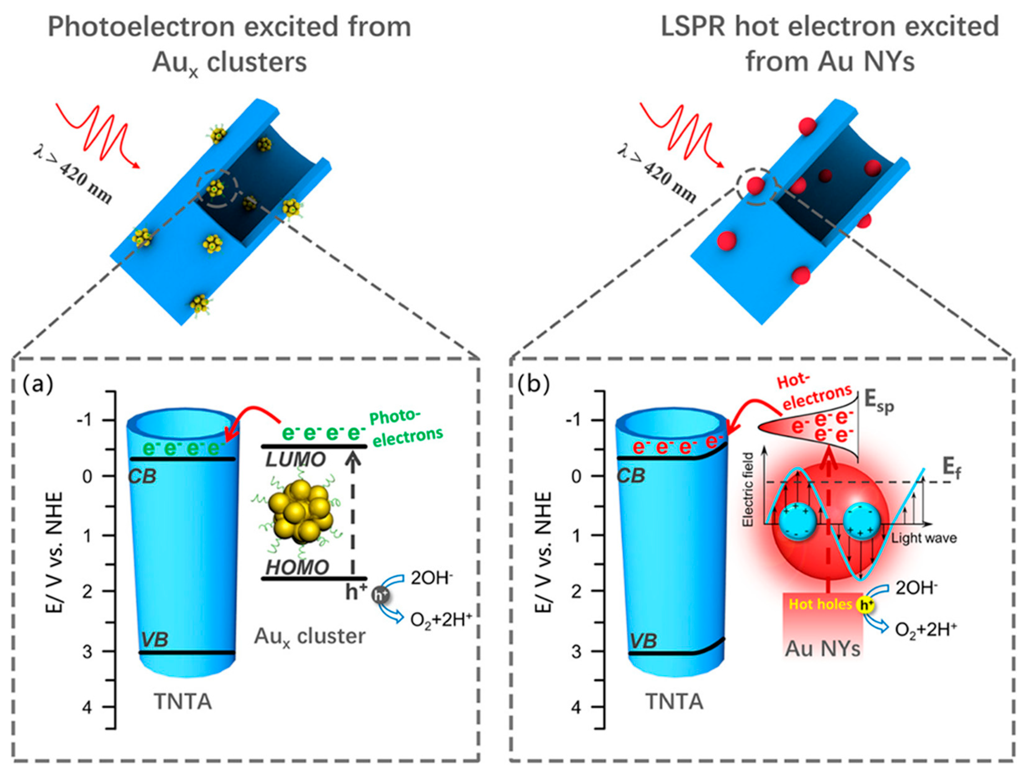 Molecules 30 03848 g012 Molecules 30 03848 g012