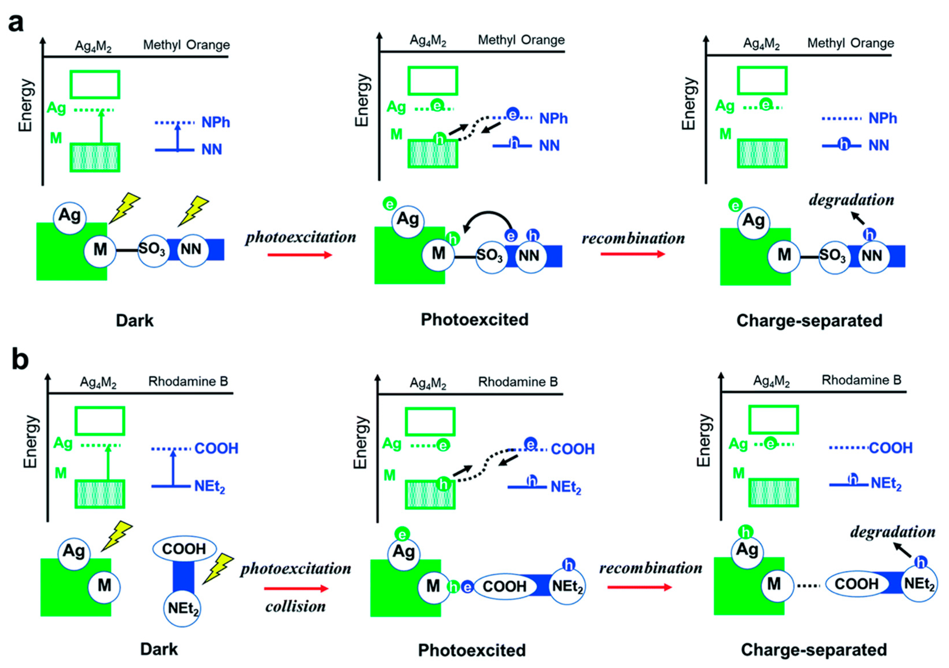 Molecules 30 03848 g013 Molecules 30 03848 g013