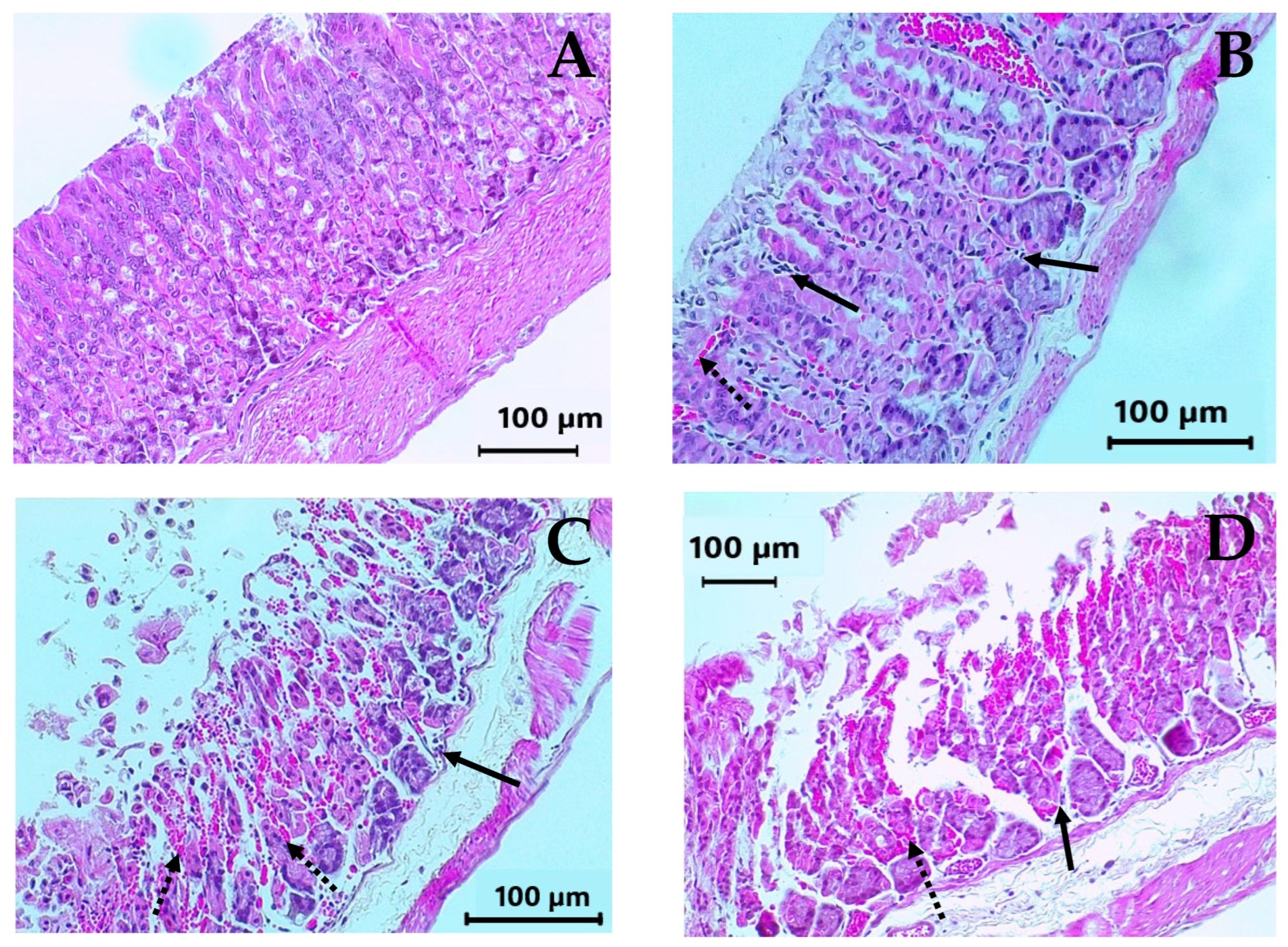 Molecules 30 03849 g005a