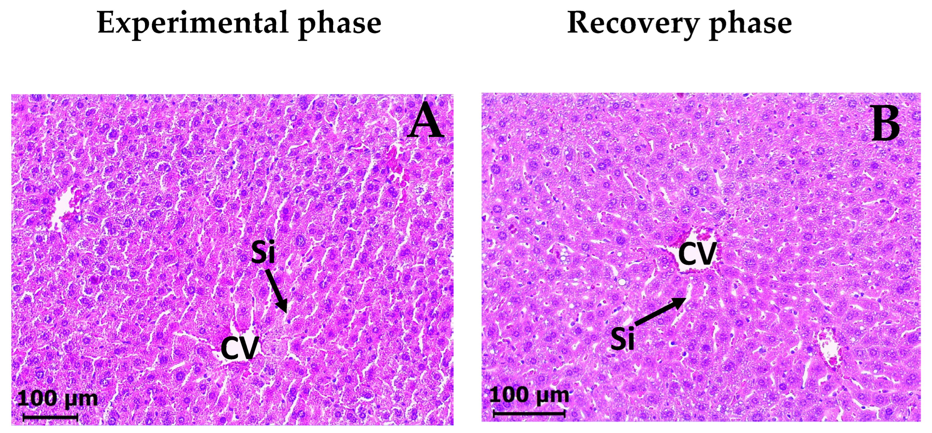 Molecules 30 03849 g007a
